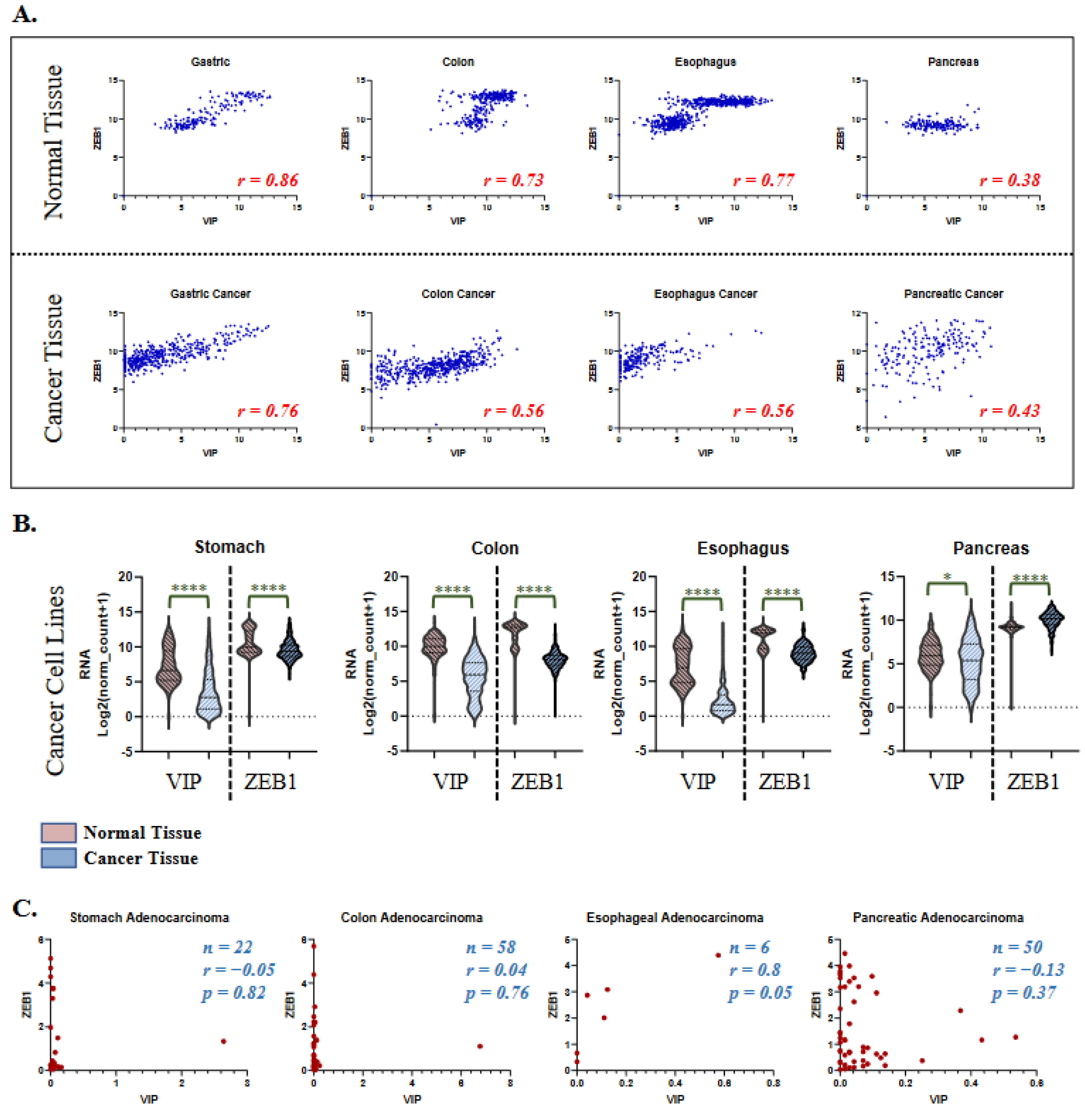 Cancers 15 03284 g004