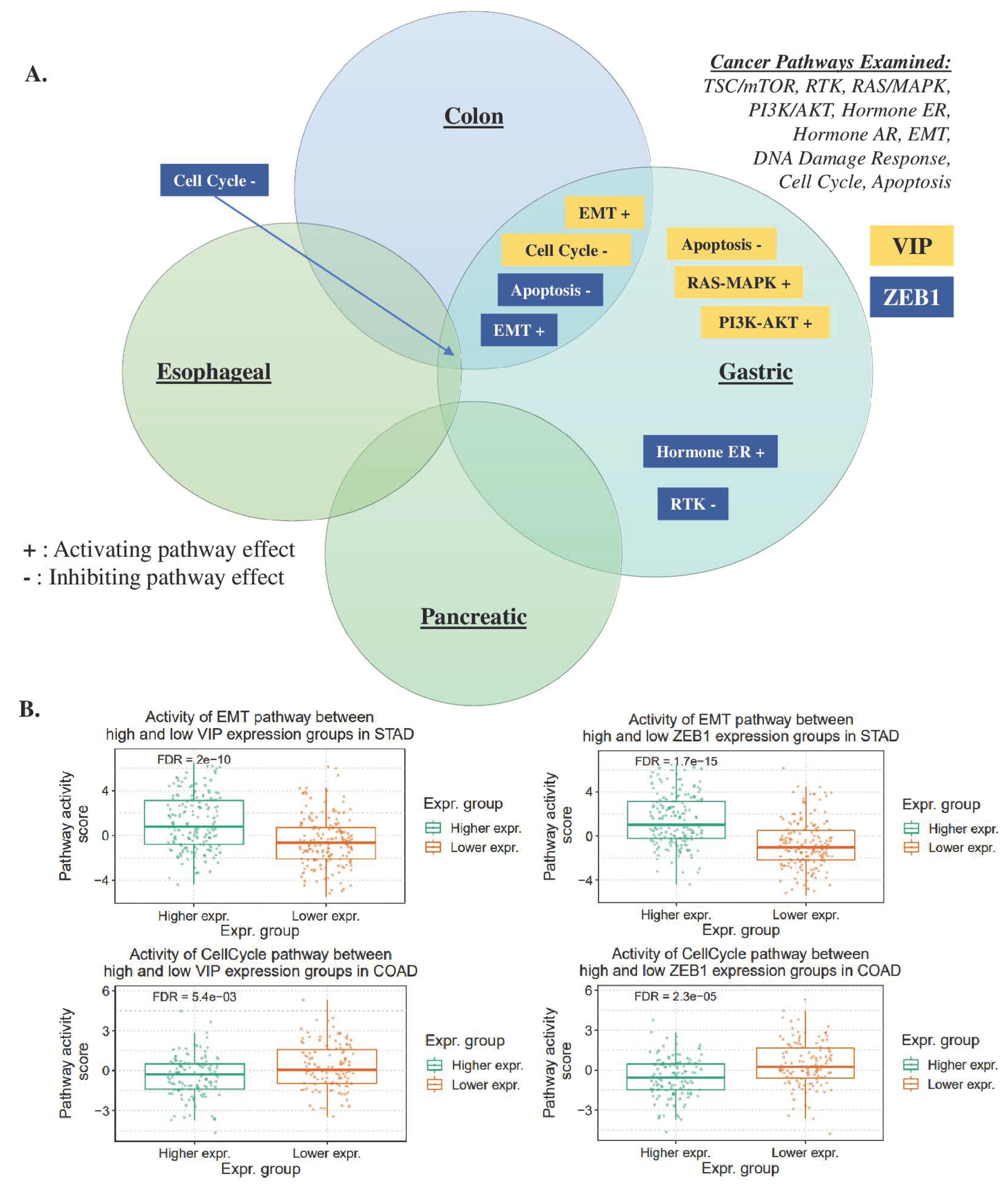 Cancers 15 03284 g005