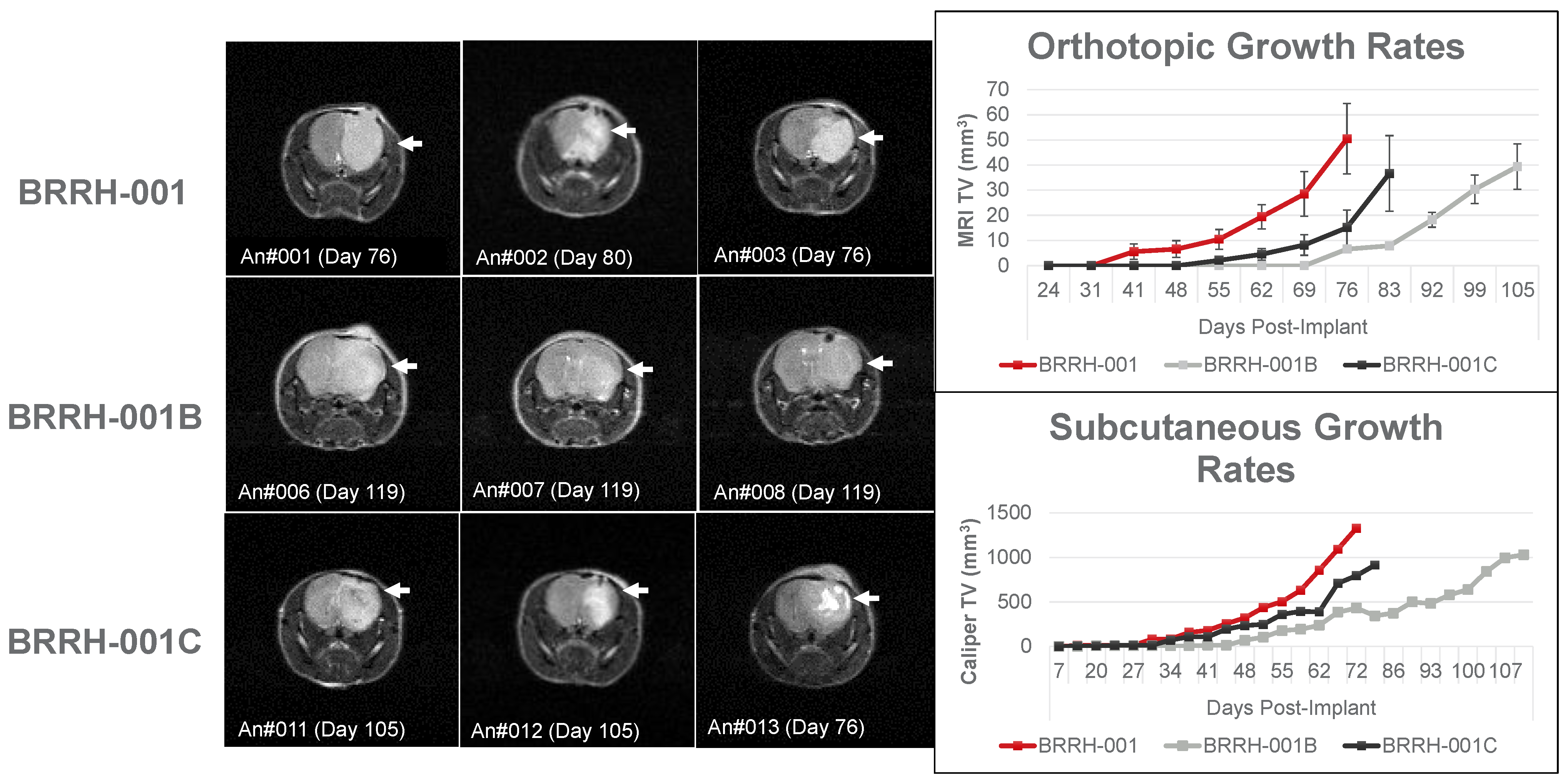Cancers 15 03289 g003 Cancers 15 03289 g003