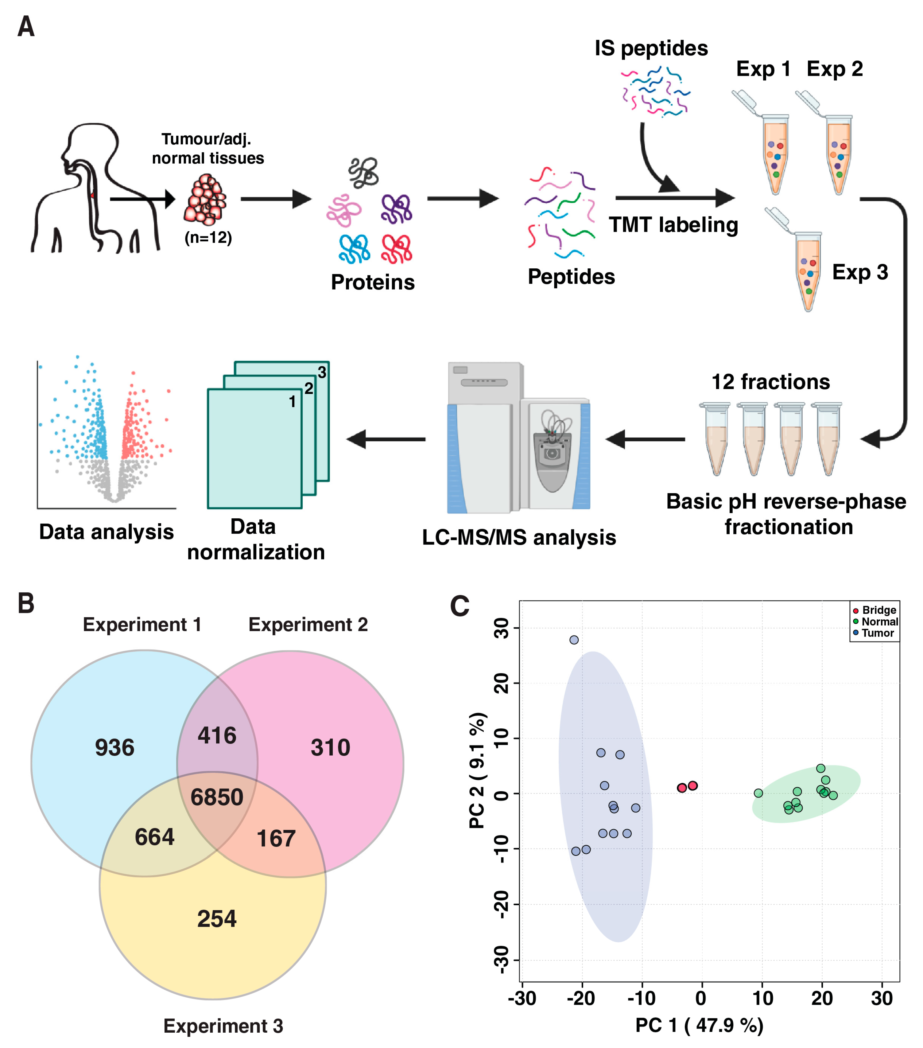 Cancers 15 03302 g001 Cancers 15 03302 g001