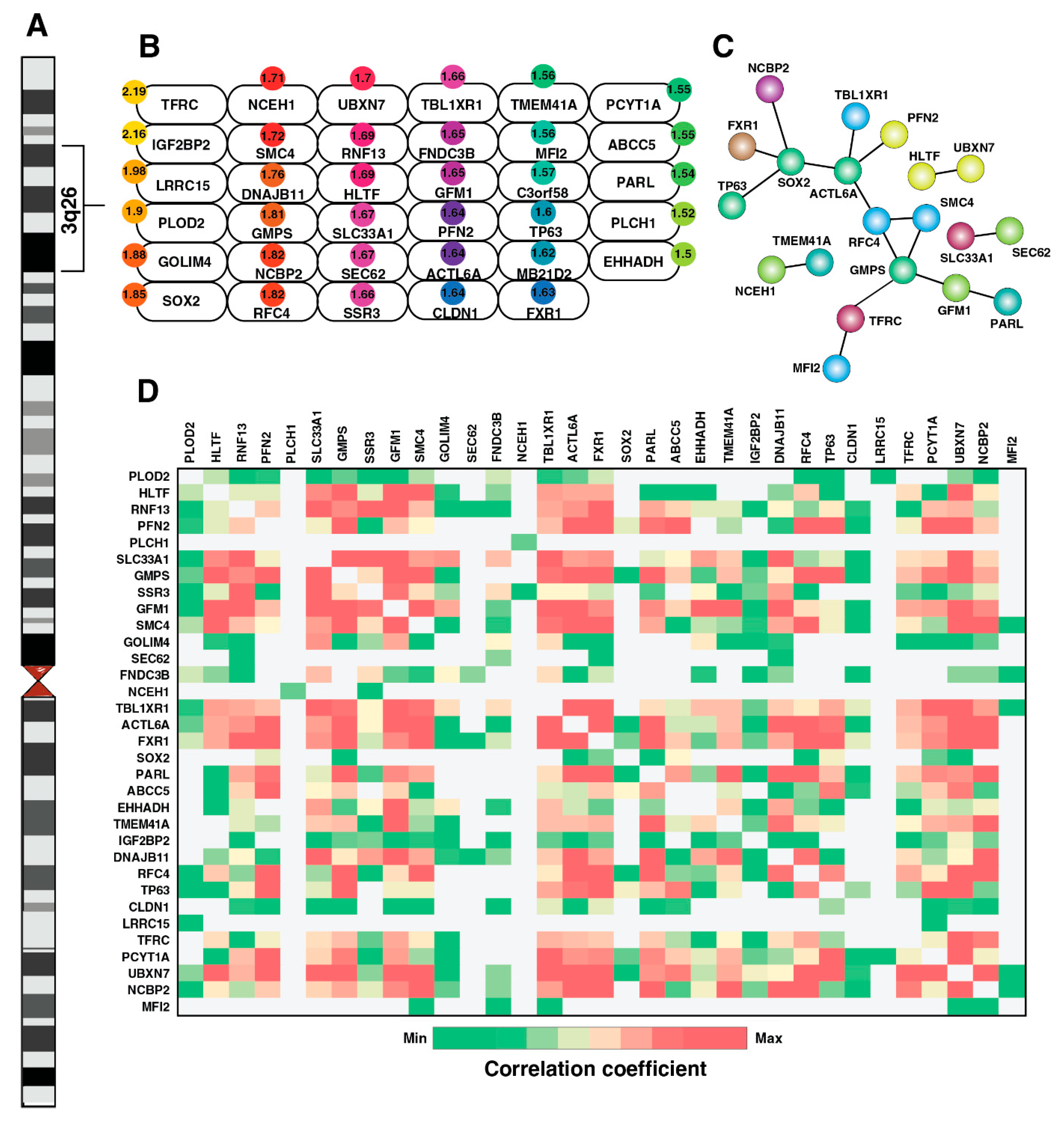 Cancers 15 03302 g003 Cancers 15 03302 g003