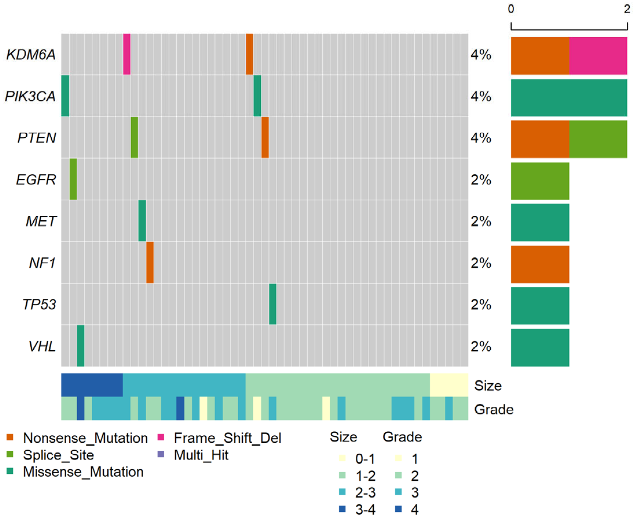 Cancers 15 03306 g001 Cancers 15 03306 g001
