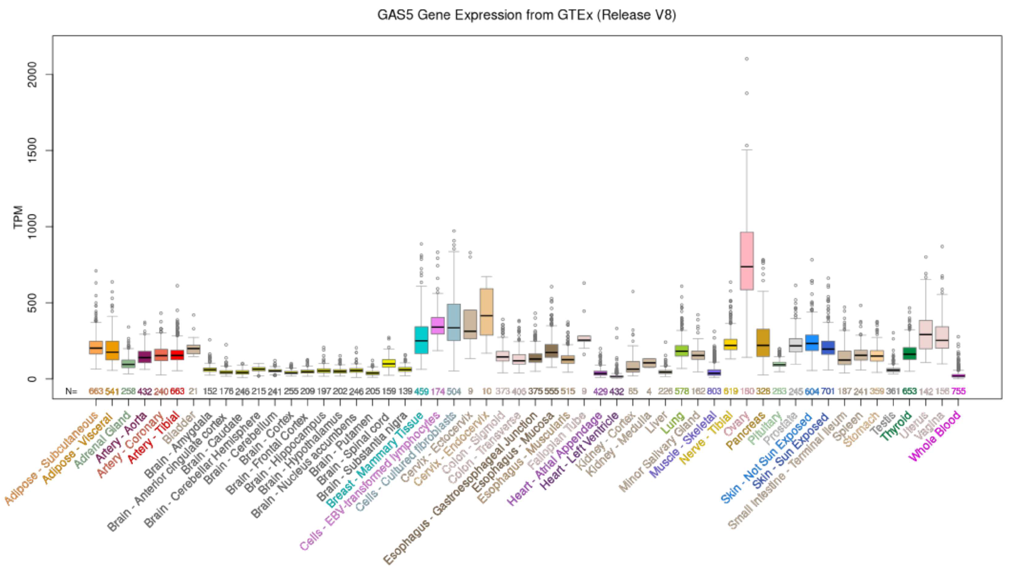 Cancers 15 03318 g002