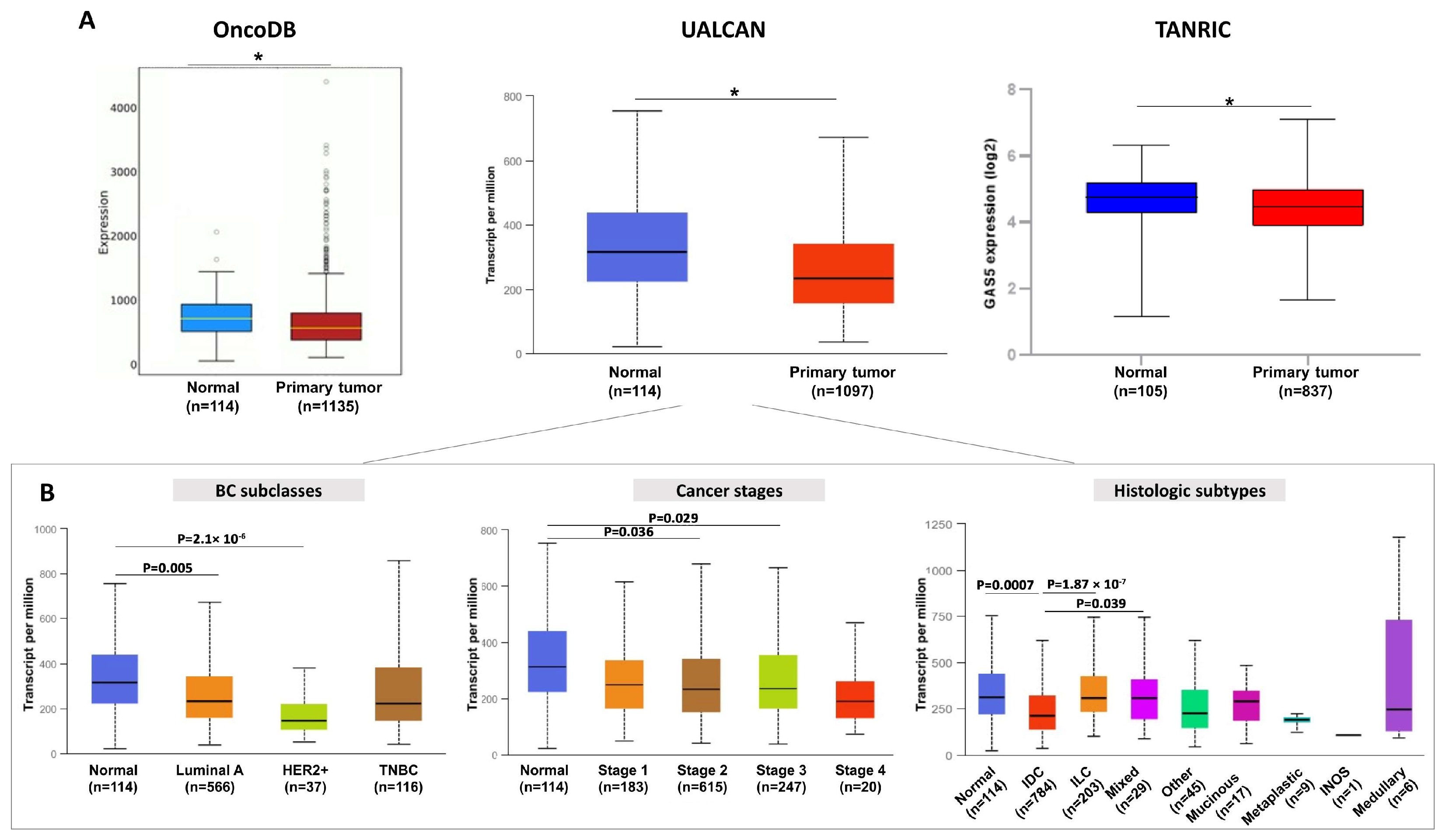 Cancers 15 03318 g003