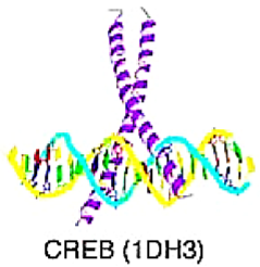 Cancers 15 03338 i001