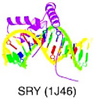 Cancers 15 03338 i004