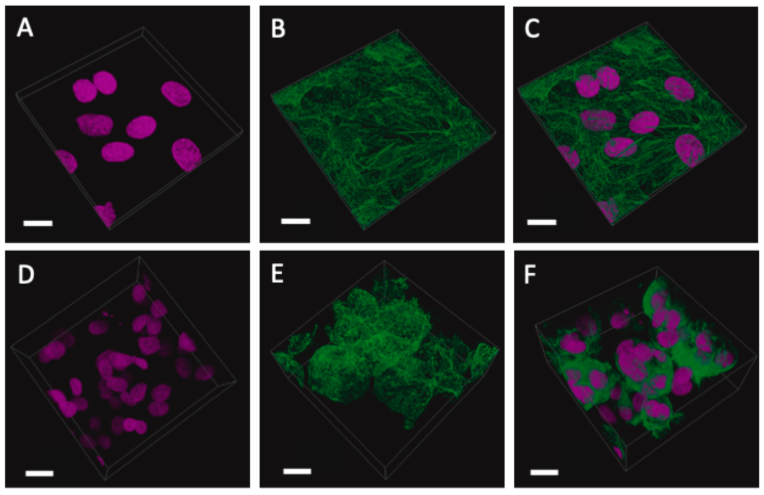 Cancers 15 03350 g010 Cancers 15 03350 g010