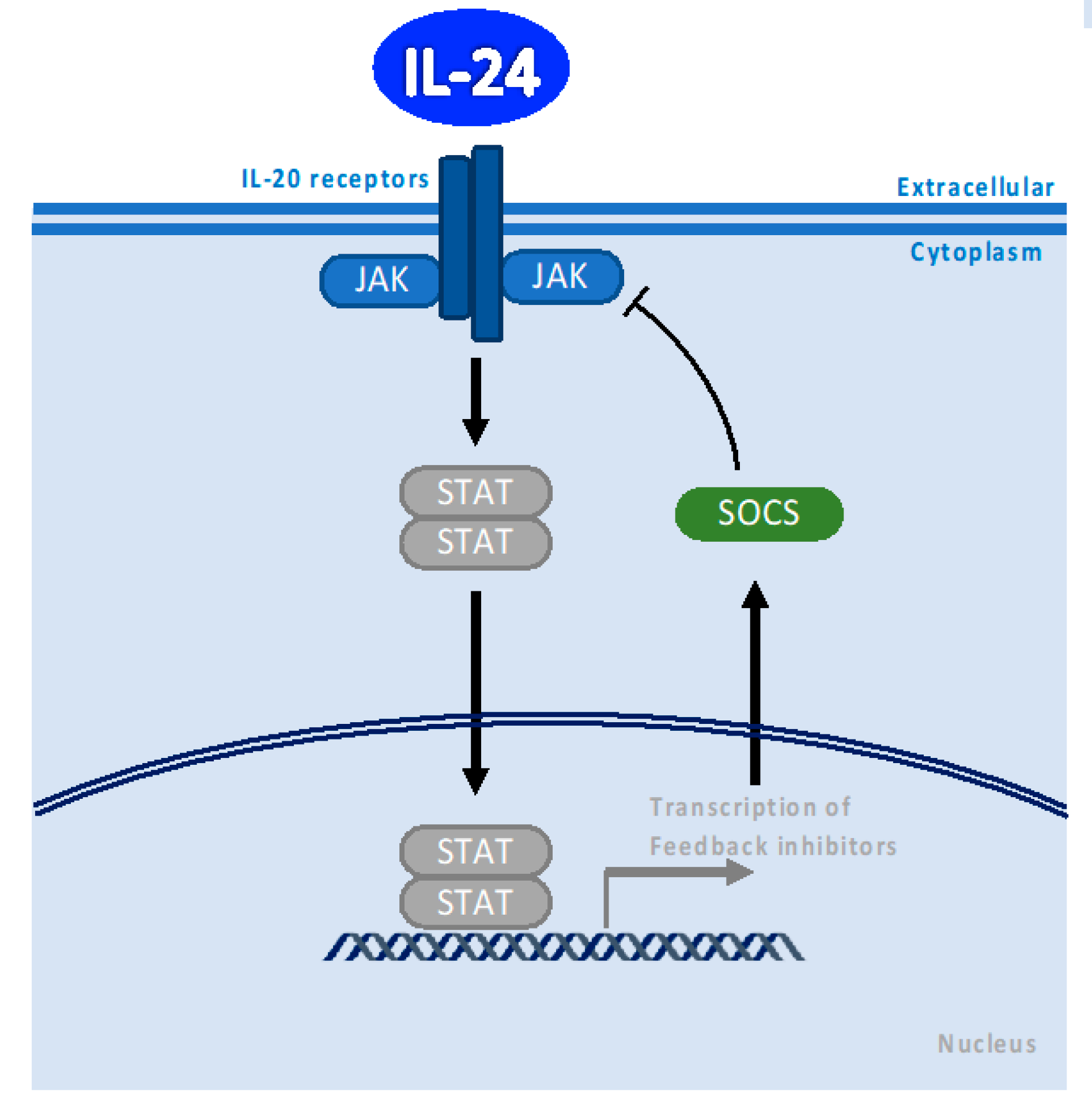Cancers 15 03365 g001 Cancers 15 03365 g001