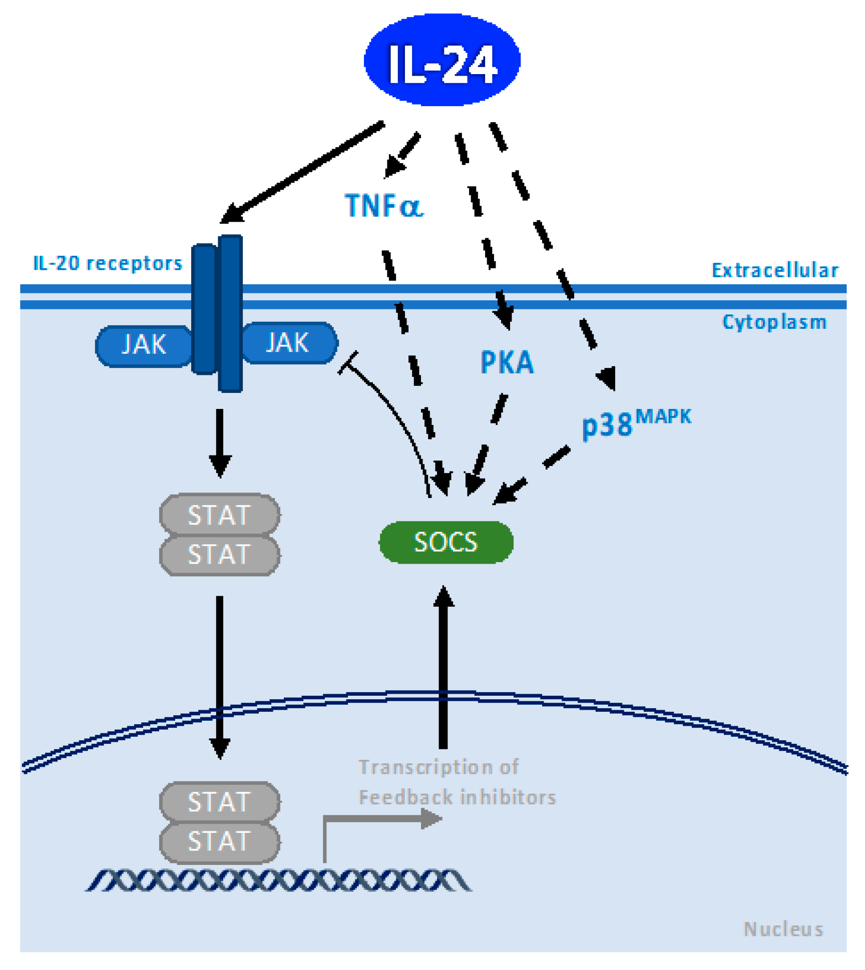 Cancers 15 03365 g002 Cancers 15 03365 g002