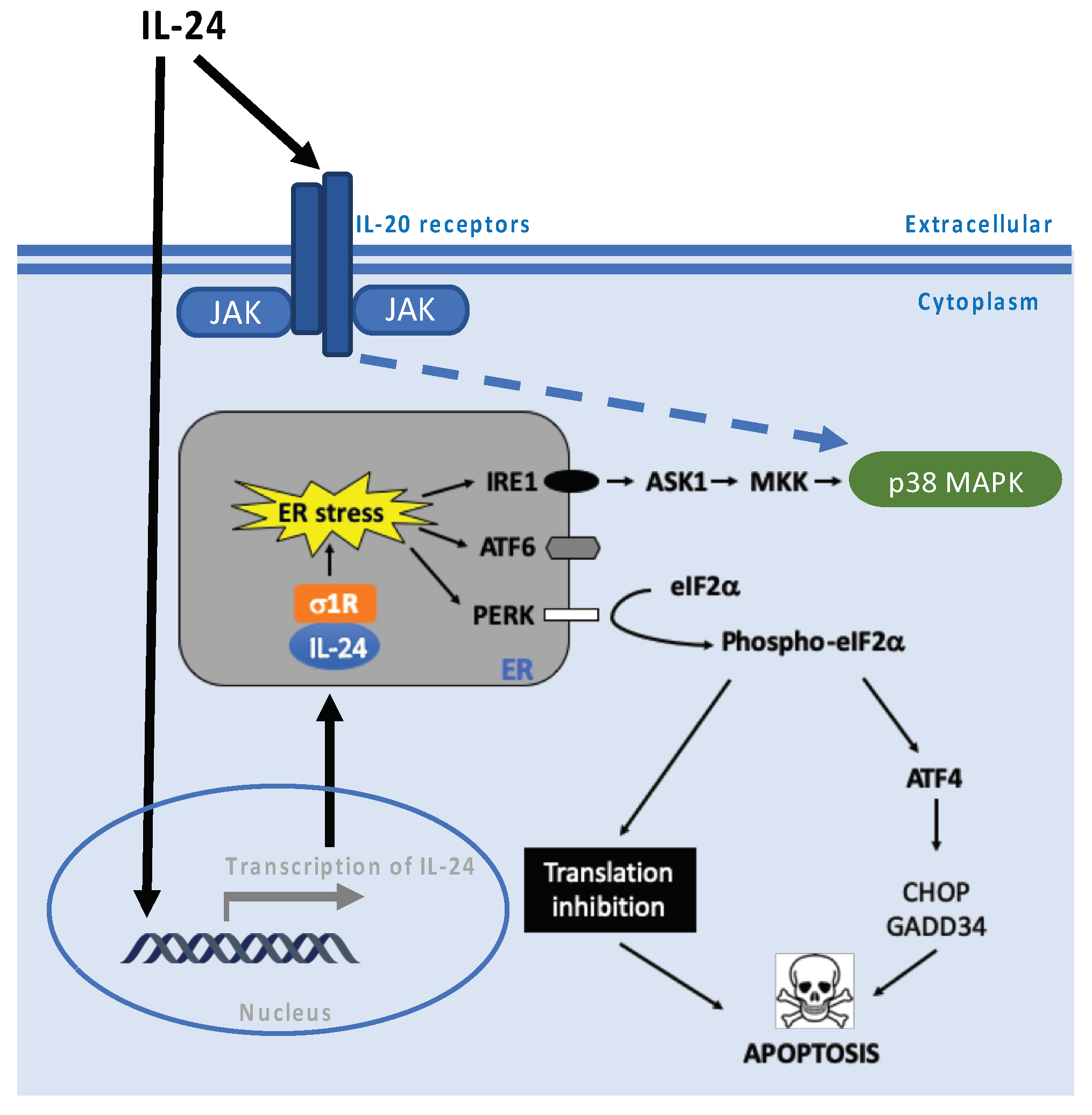 Cancers 15 03365 g004 Cancers 15 03365 g004