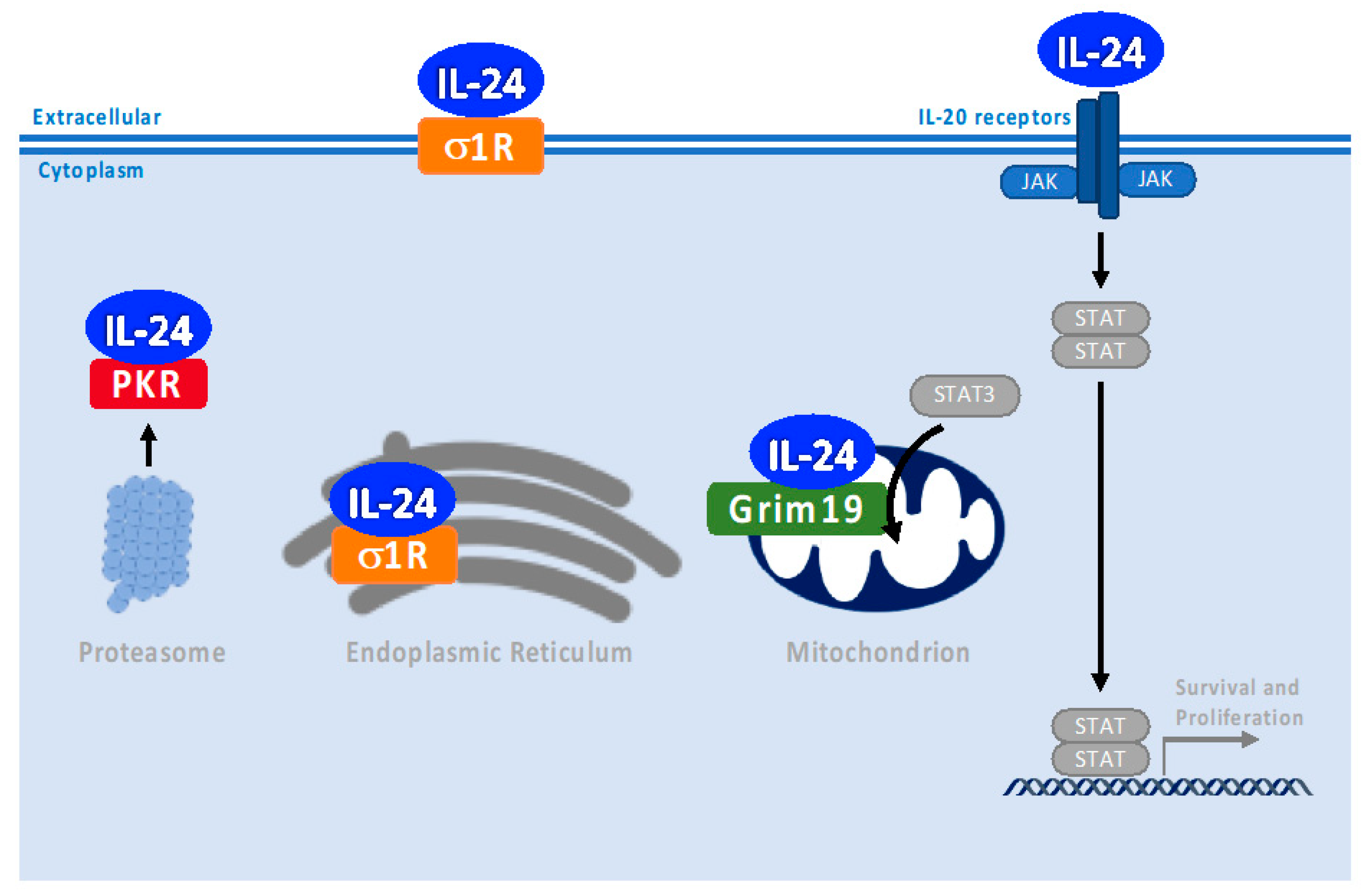 Cancers 15 03365 g005 Cancers 15 03365 g005
