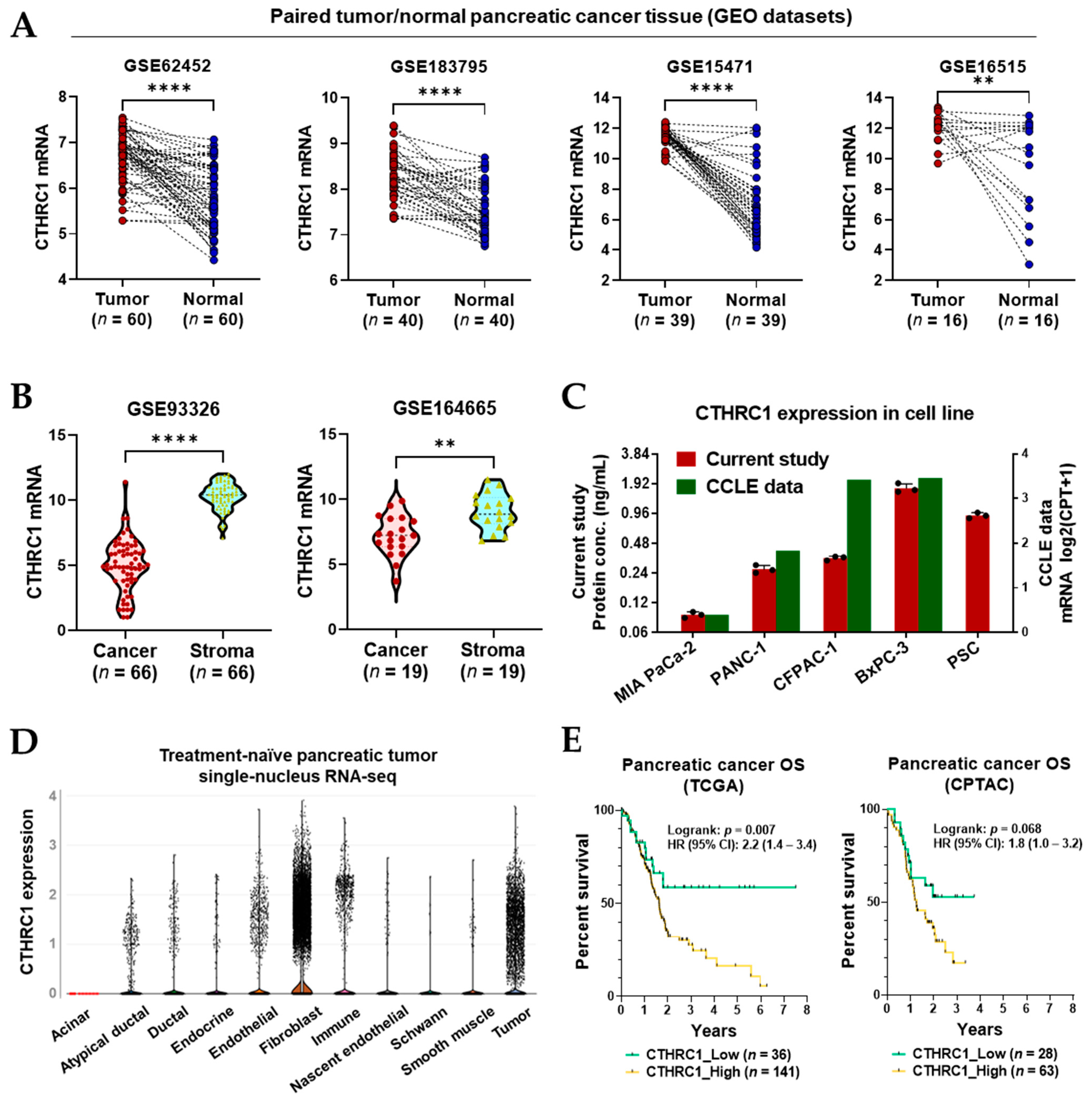 Cancers 15 03370 g001