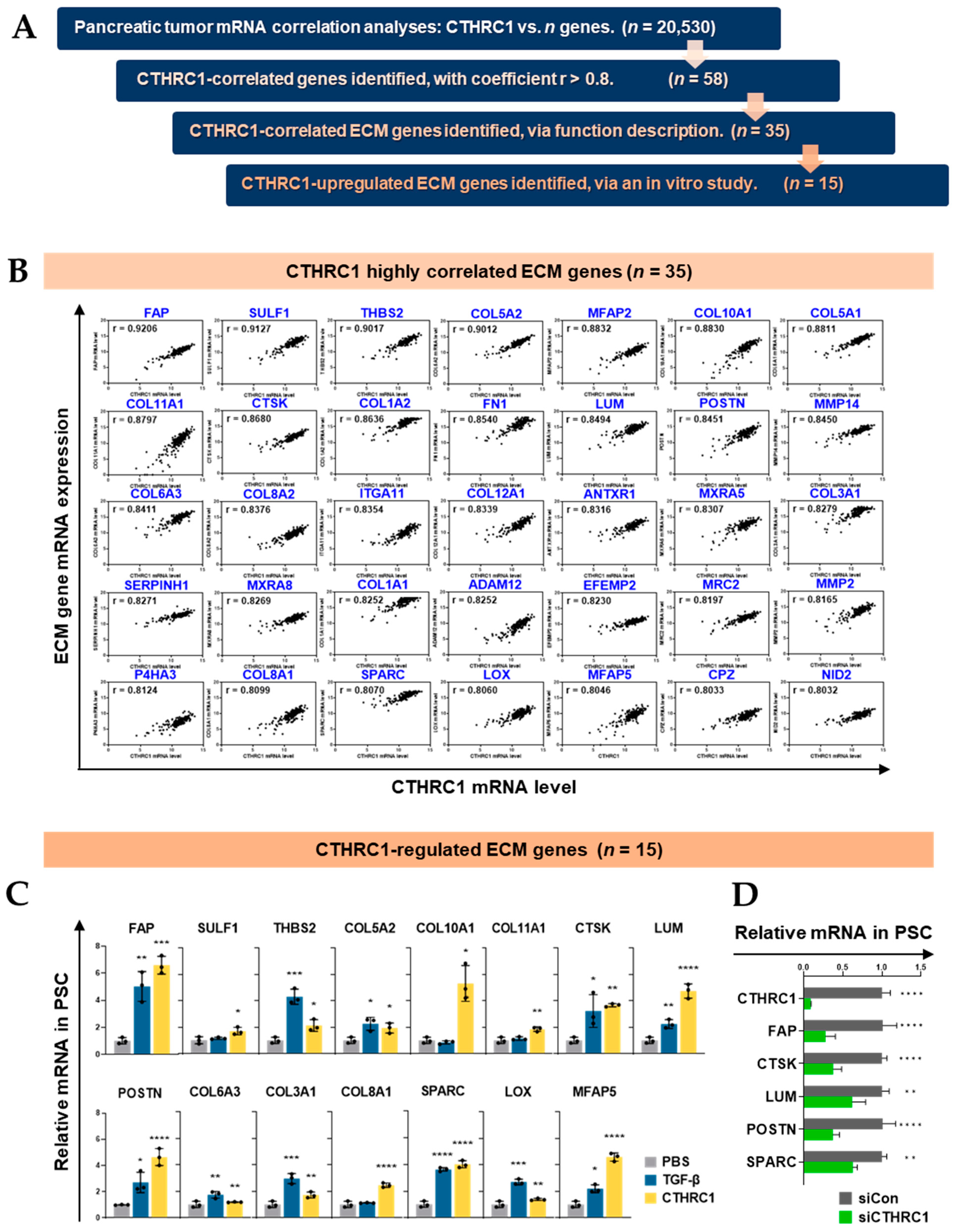 Cancers 15 03370 g002