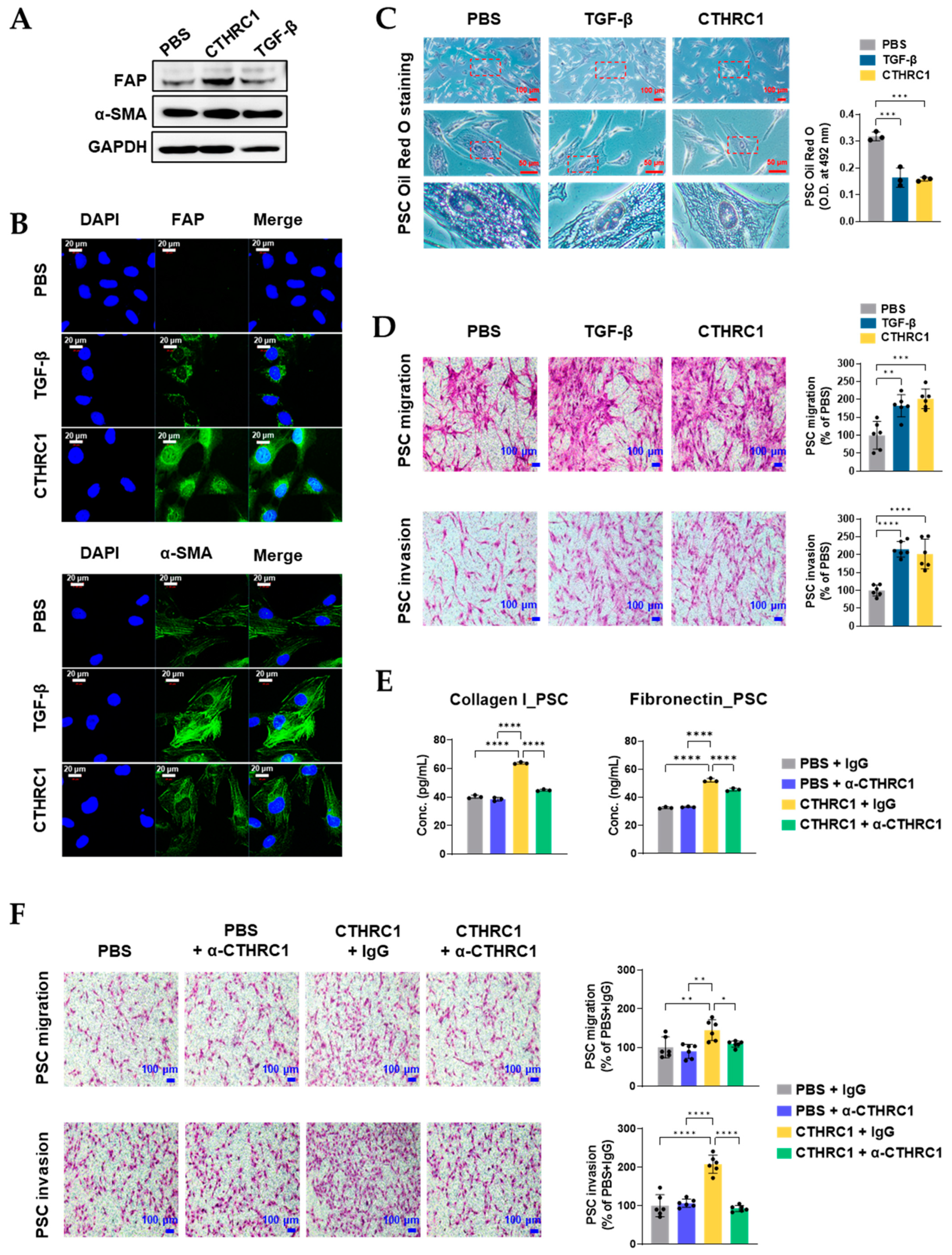 Cancers 15 03370 g003