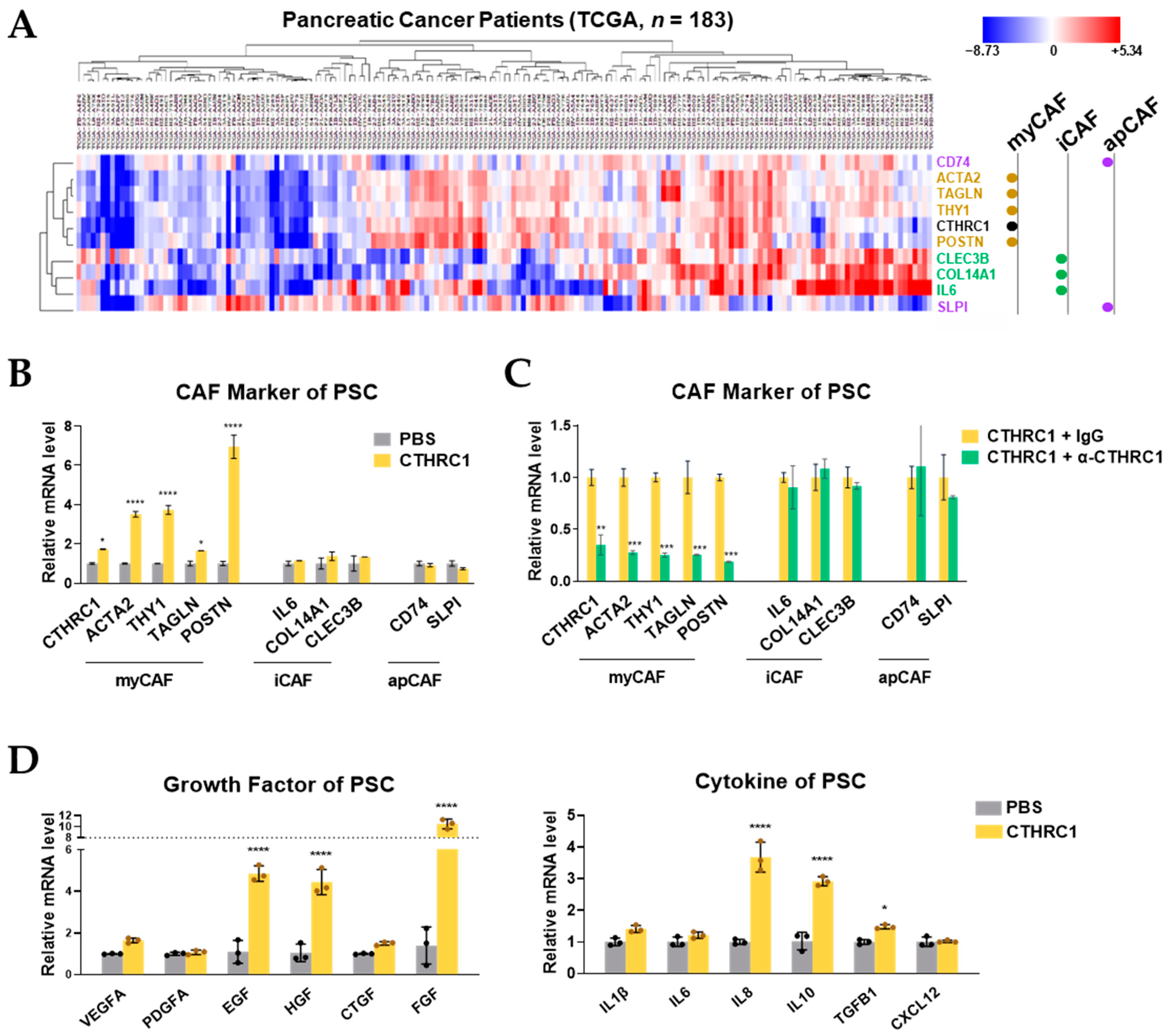 Cancers 15 03370 g004