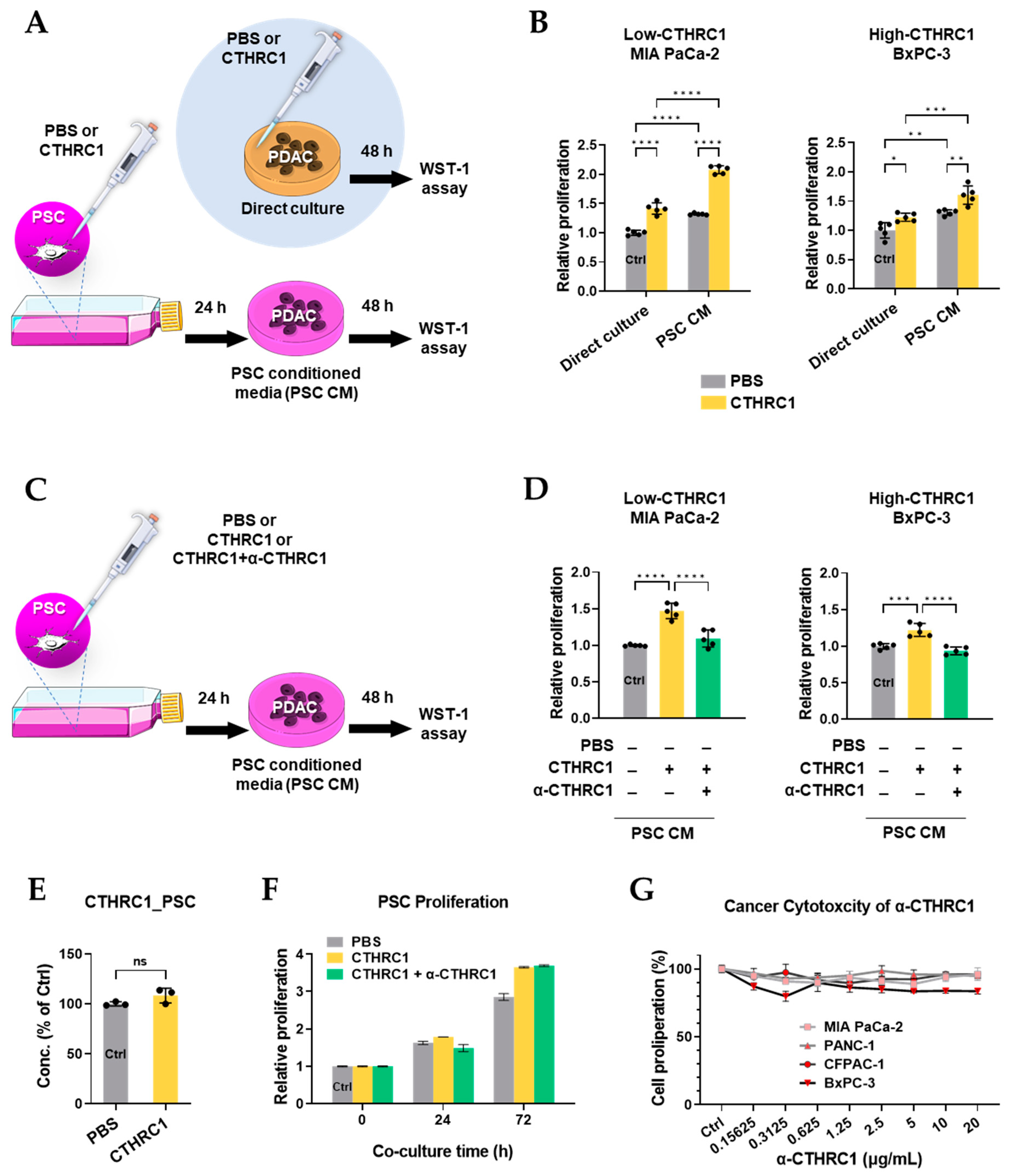 Cancers 15 03370 g005