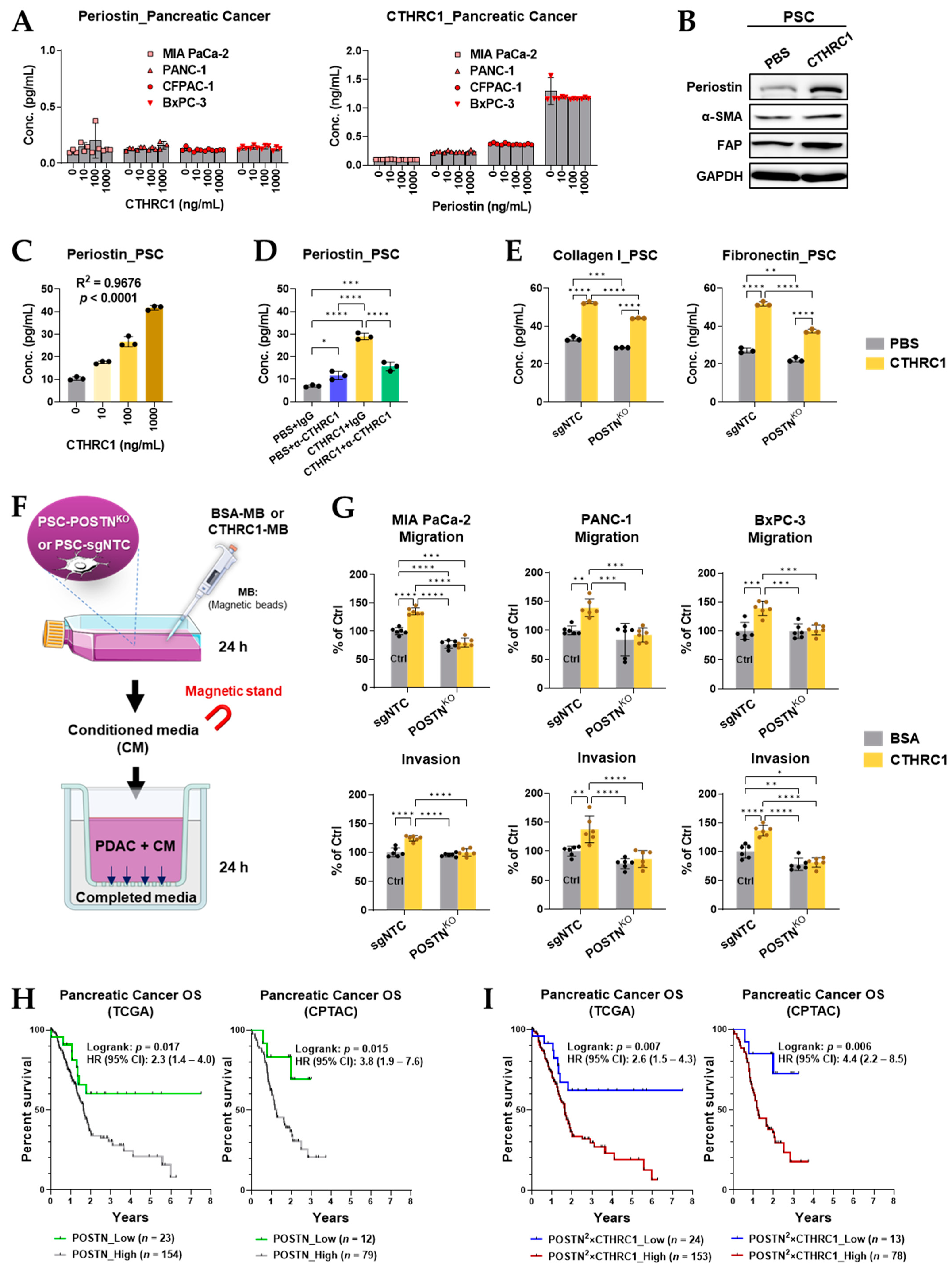 Cancers 15 03370 g006
