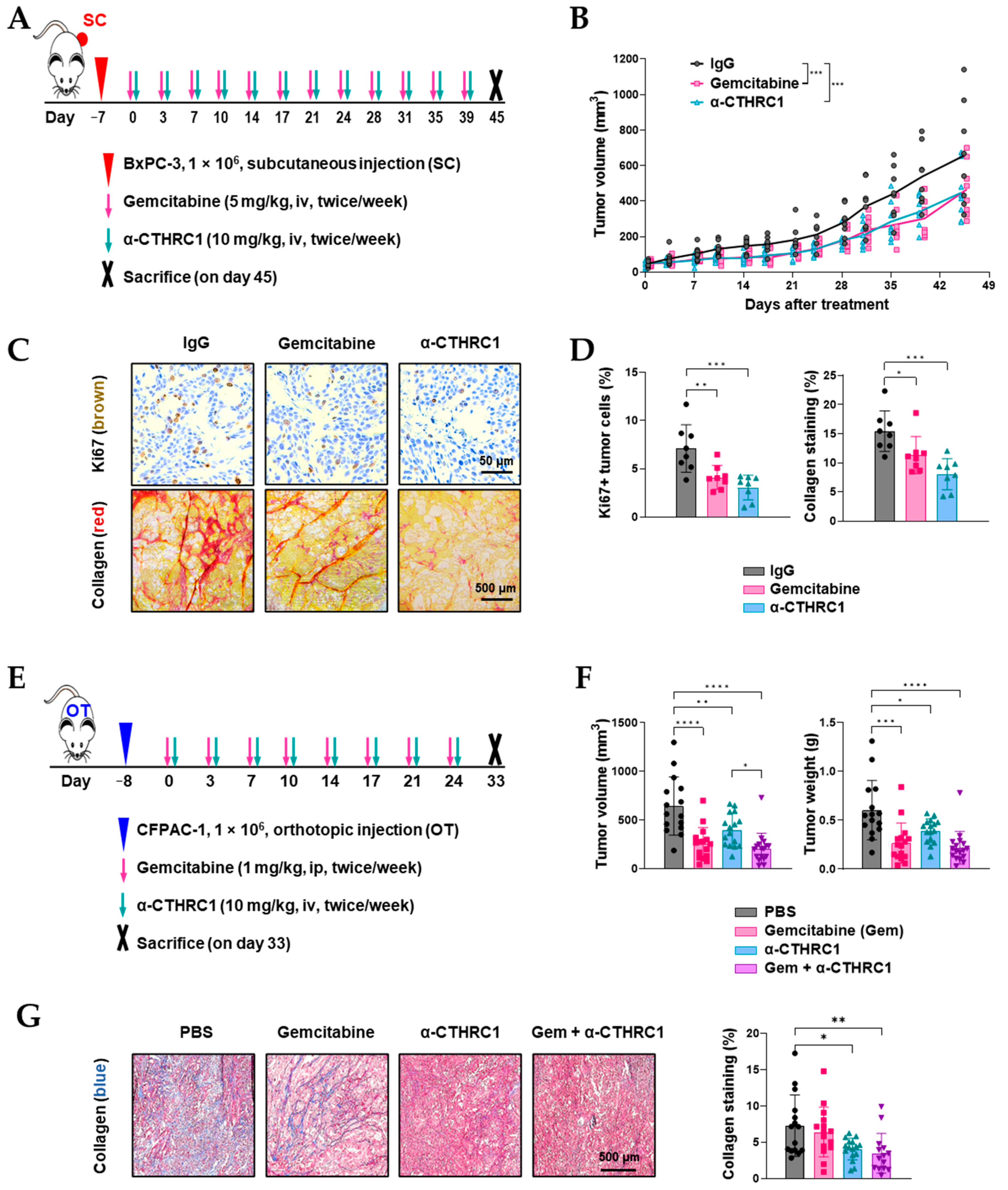 Cancers 15 03370 g007