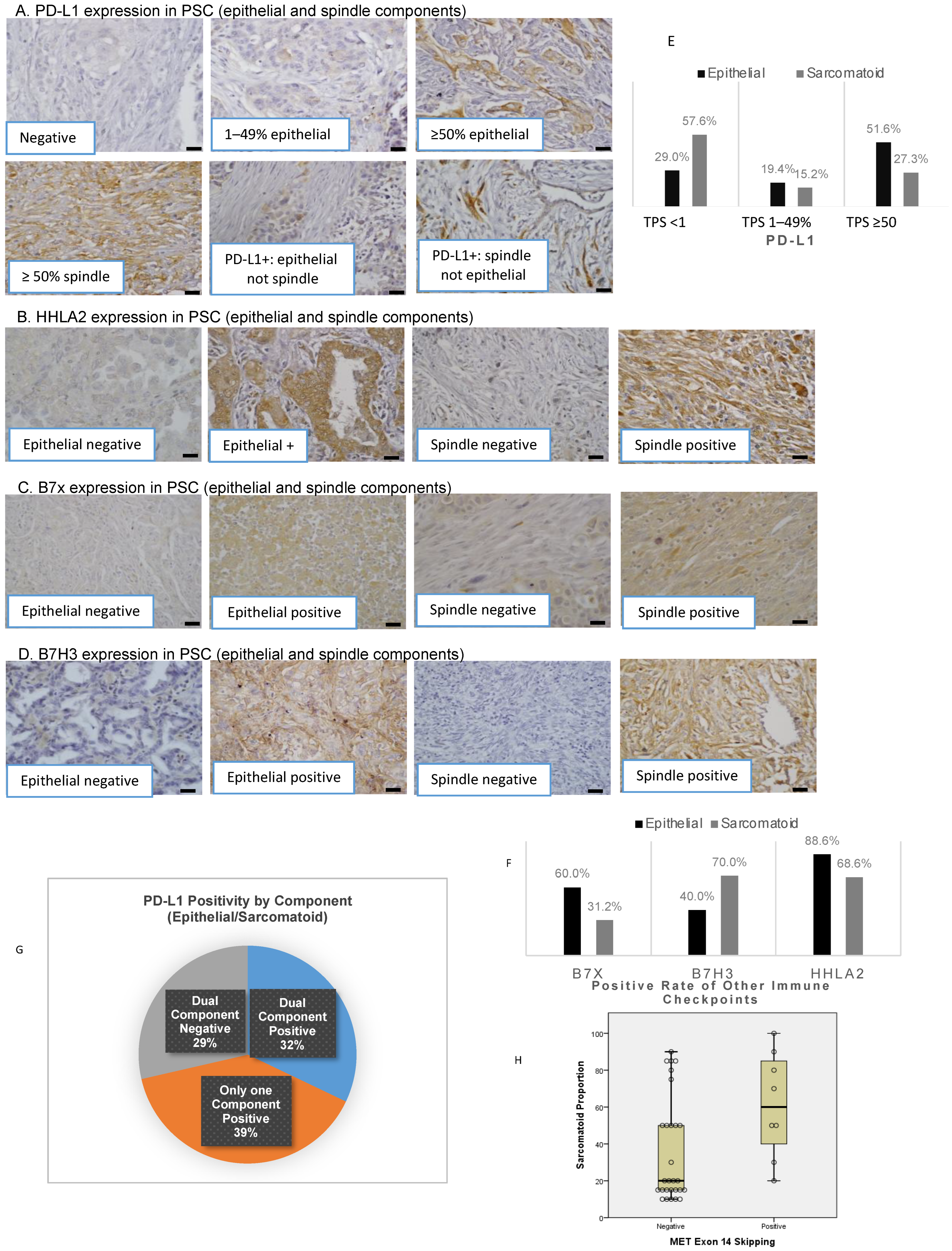 Cancers 15 03372 g001 Cancers 15 03372 g001