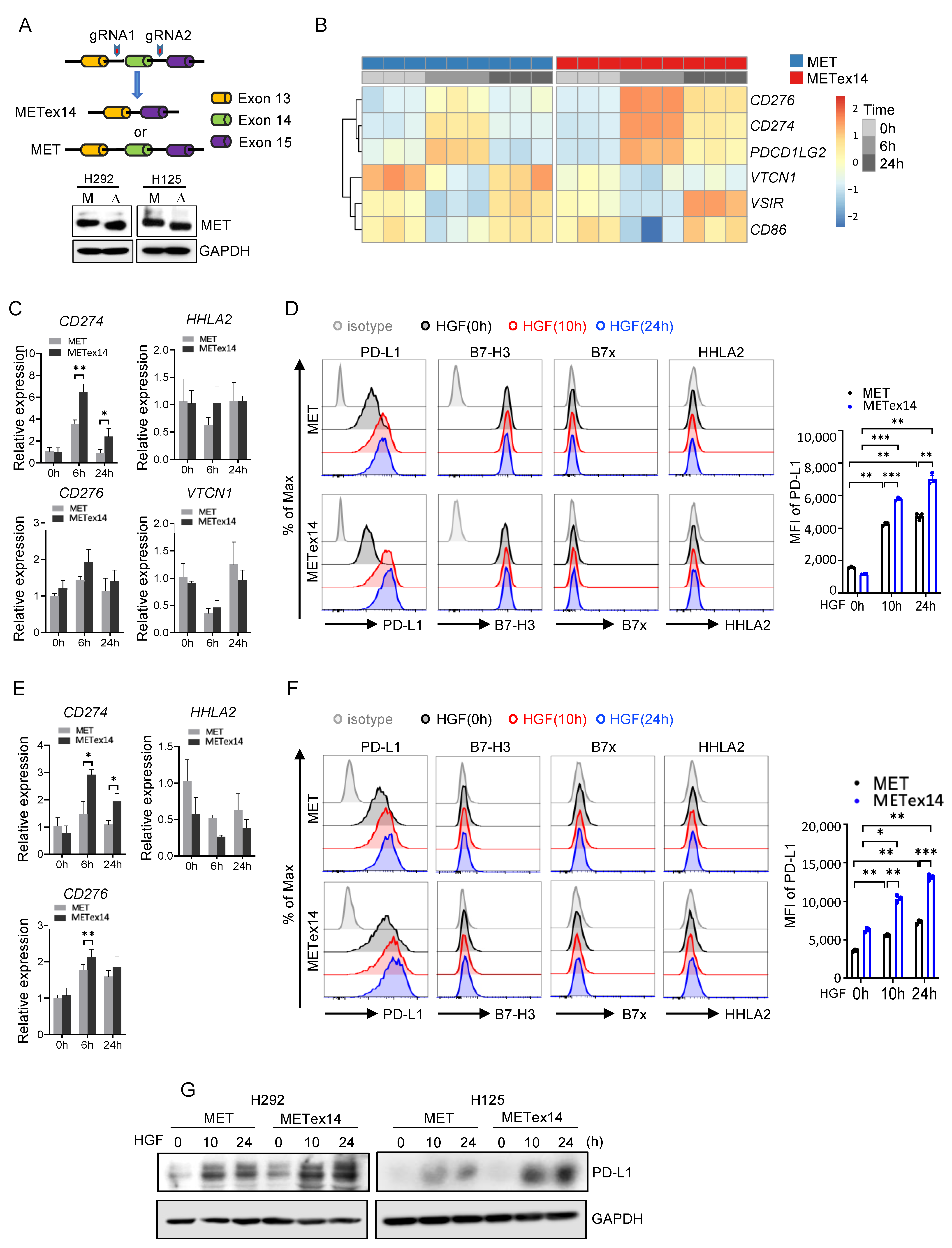 Cancers 15 03372 g002 Cancers 15 03372 g002