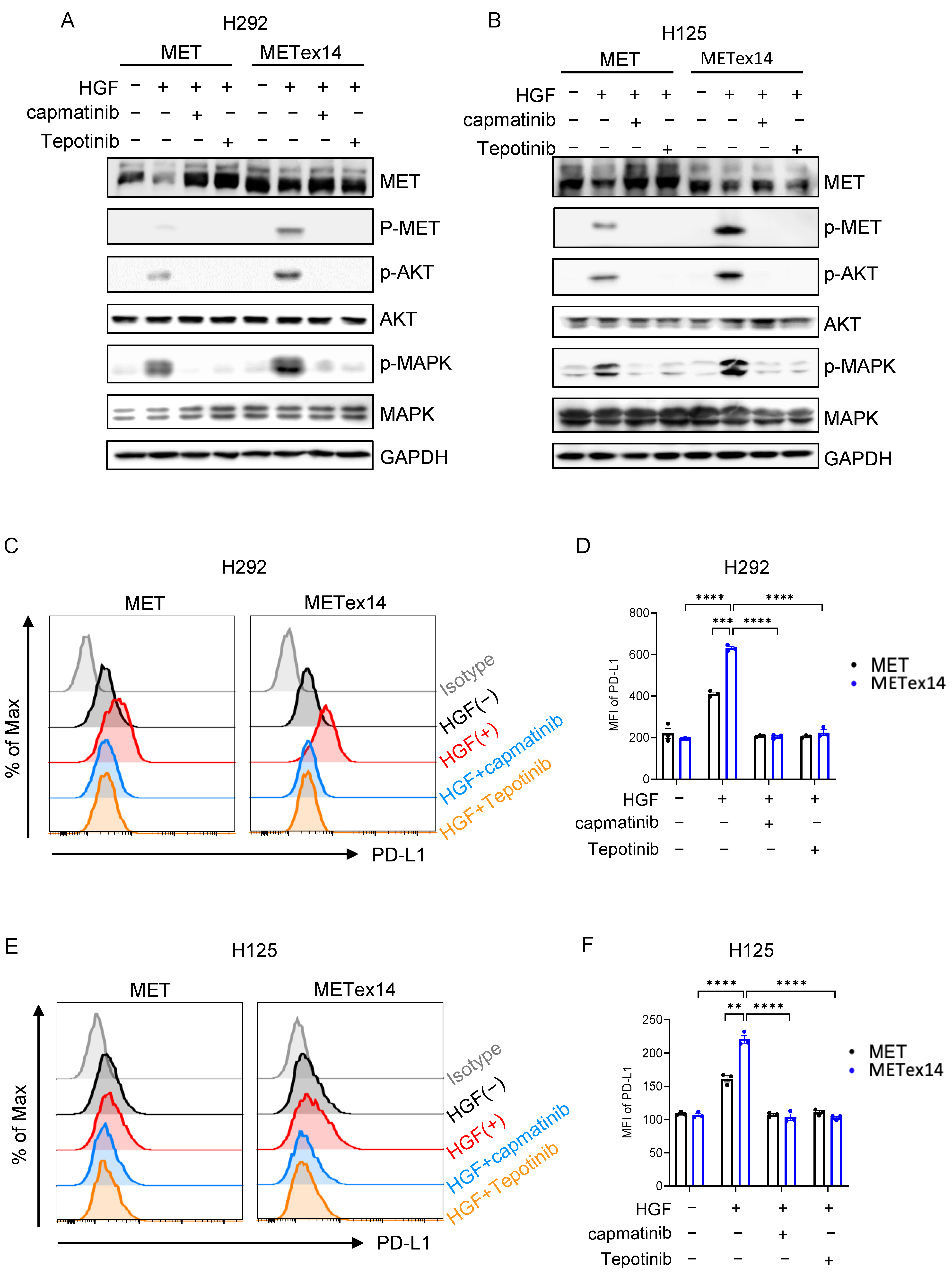 Cancers 15 03372 g004 Cancers 15 03372 g004