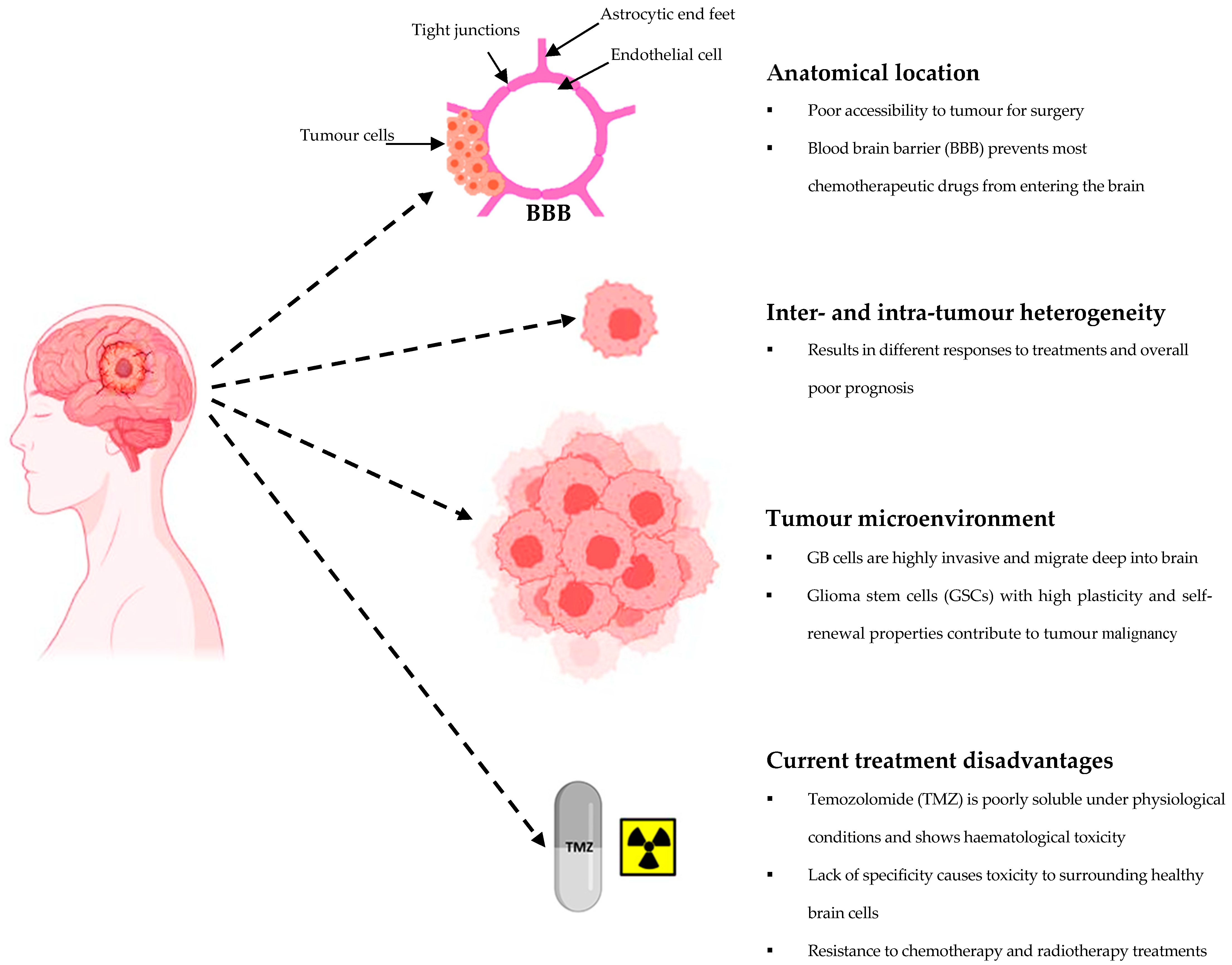 Cancers | Free Full-Text | Diagnostic and Therapeutic Approaches for  Glioblastoma and Neuroblastoma Cancers Using Chlorotoxin Nanoparticles