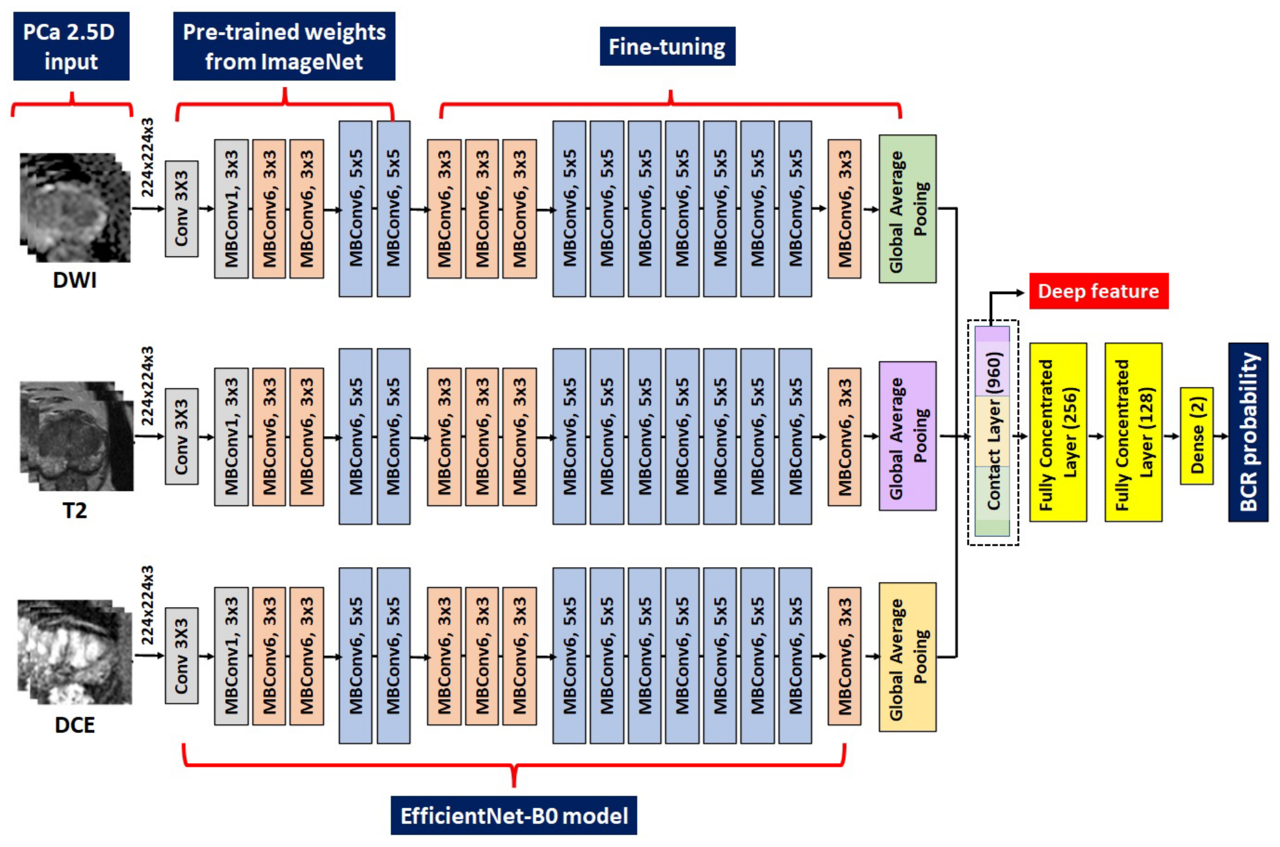 Cancers 15 03416 g003