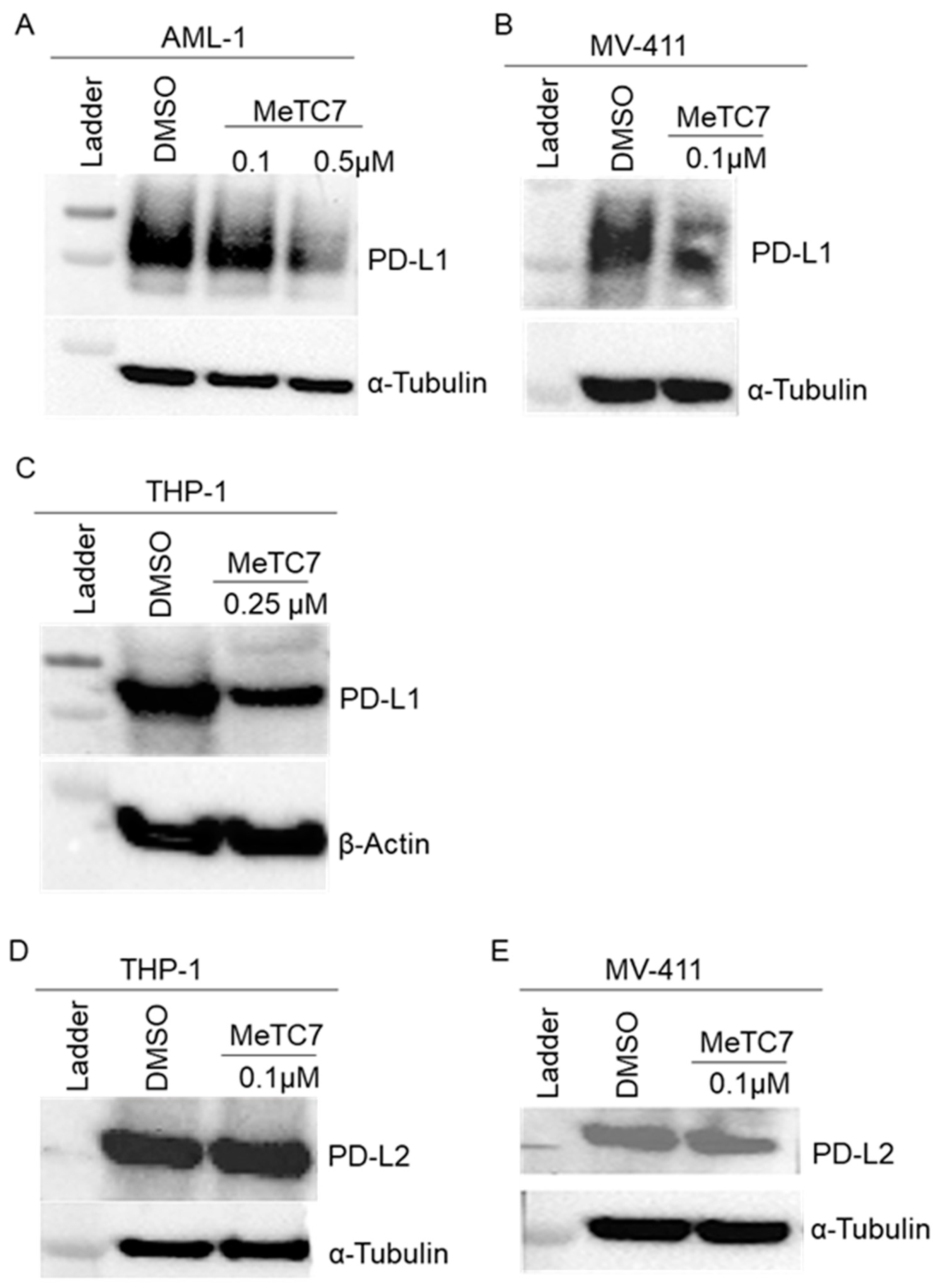 Cancers 15 03432 g003 Cancers 15 03432 g003