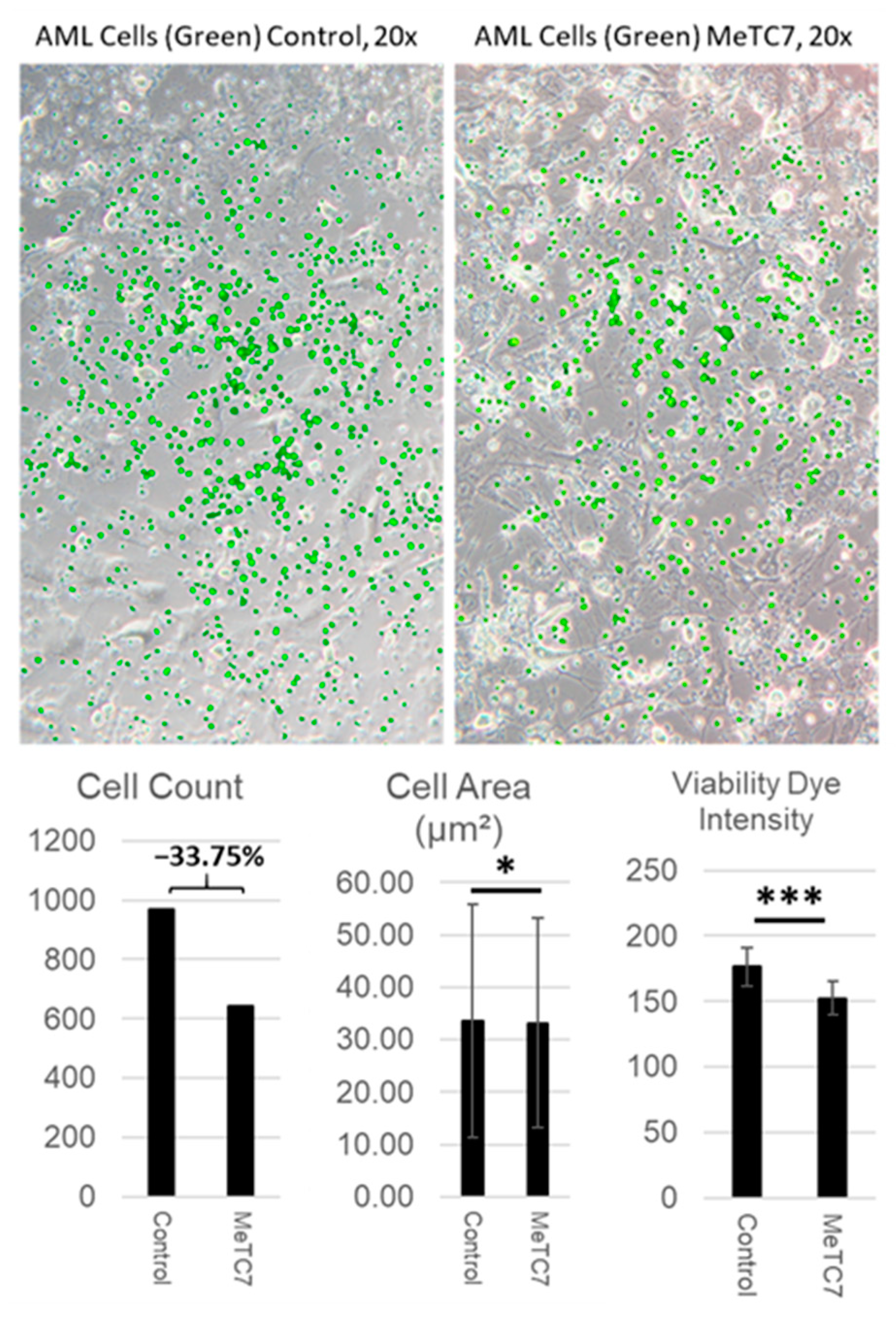 Cancers 15 03432 g005 Cancers 15 03432 g005