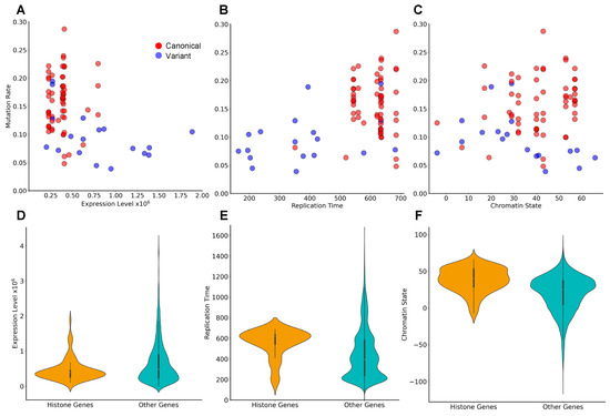 Pan-cancer atlas of somatic core and linker histone mutations