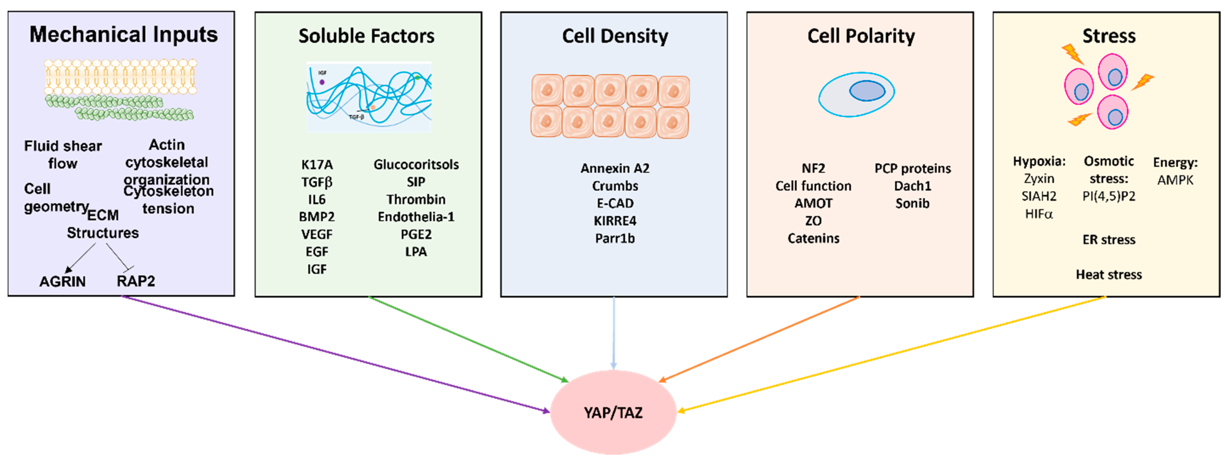 Cancers 15 03468 g004 Cancers 15 03468 g004