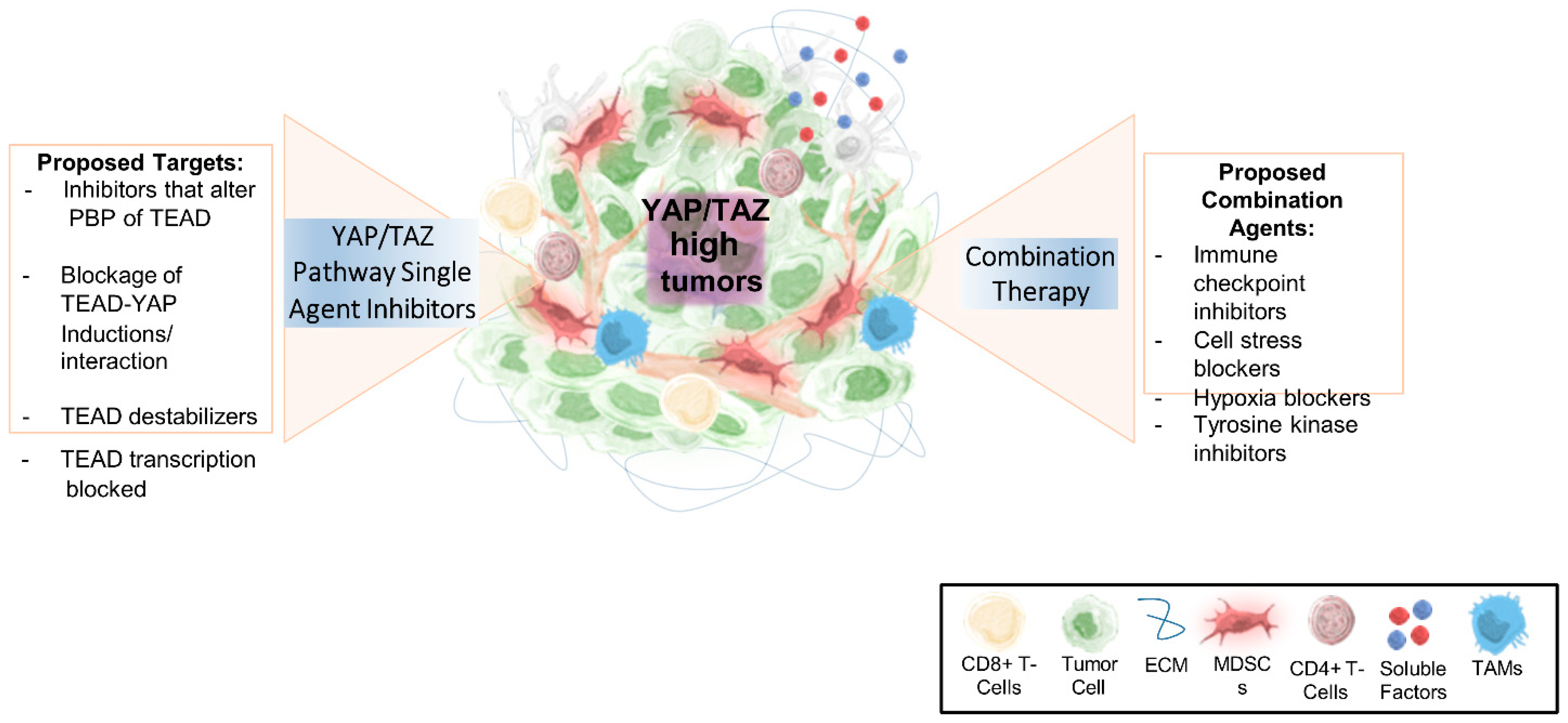 Cancers 15 03468 g006 Cancers 15 03468 g006