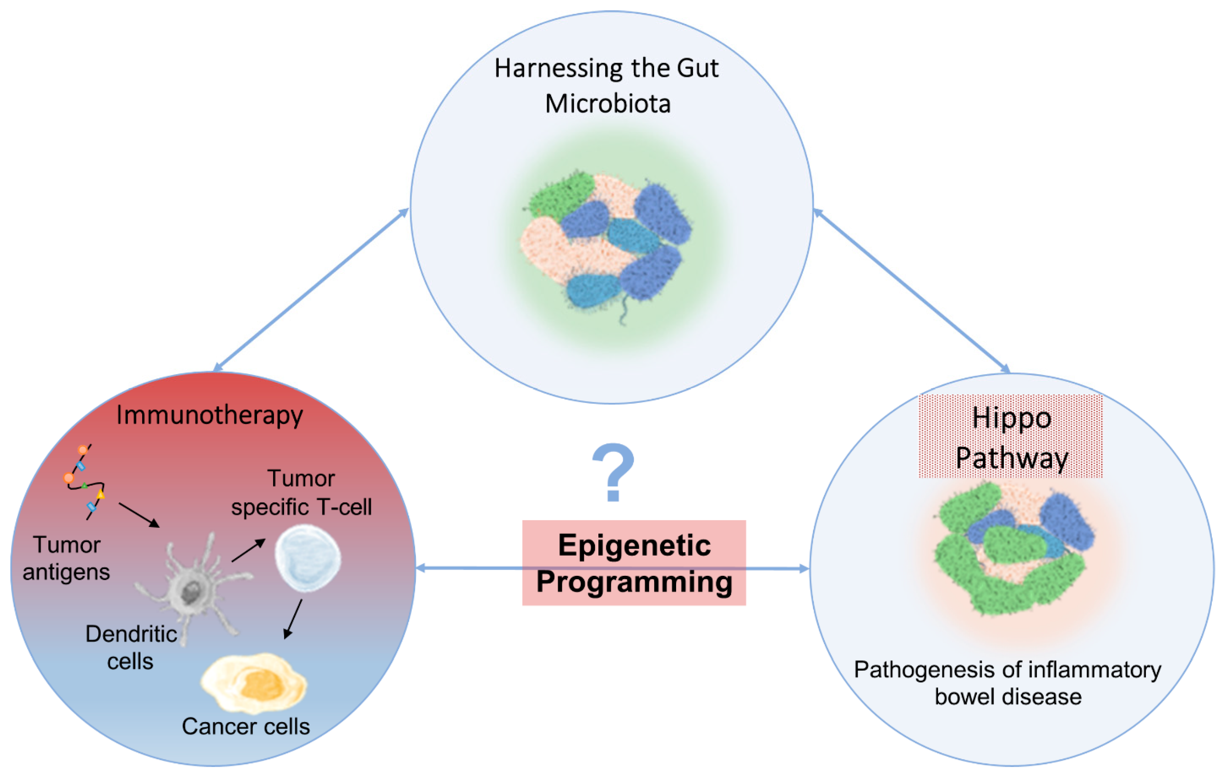Cancers 15 03468 g007 Cancers 15 03468 g007