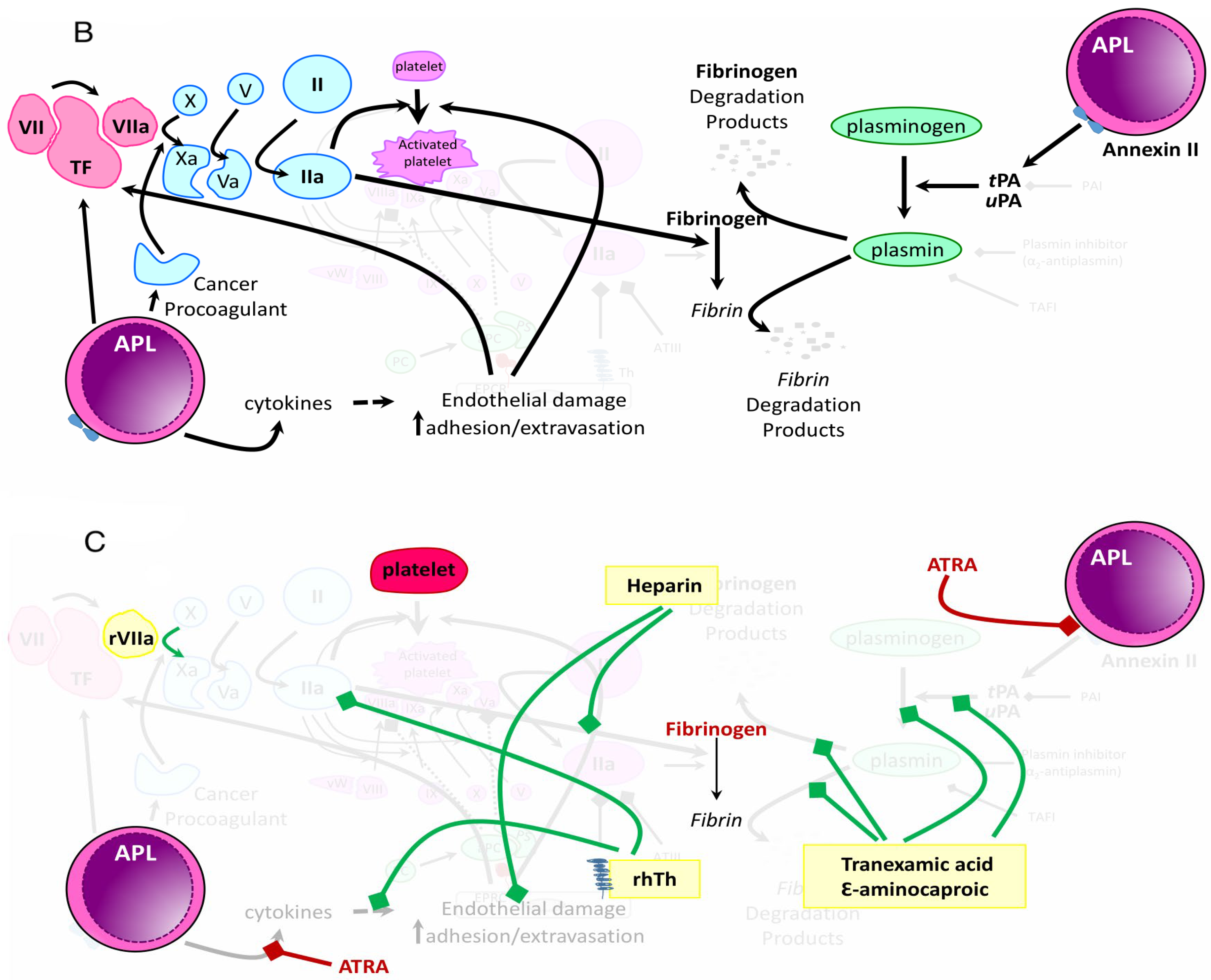 Cancers 15 03477 g001b Cancers 15 03477 g001b
