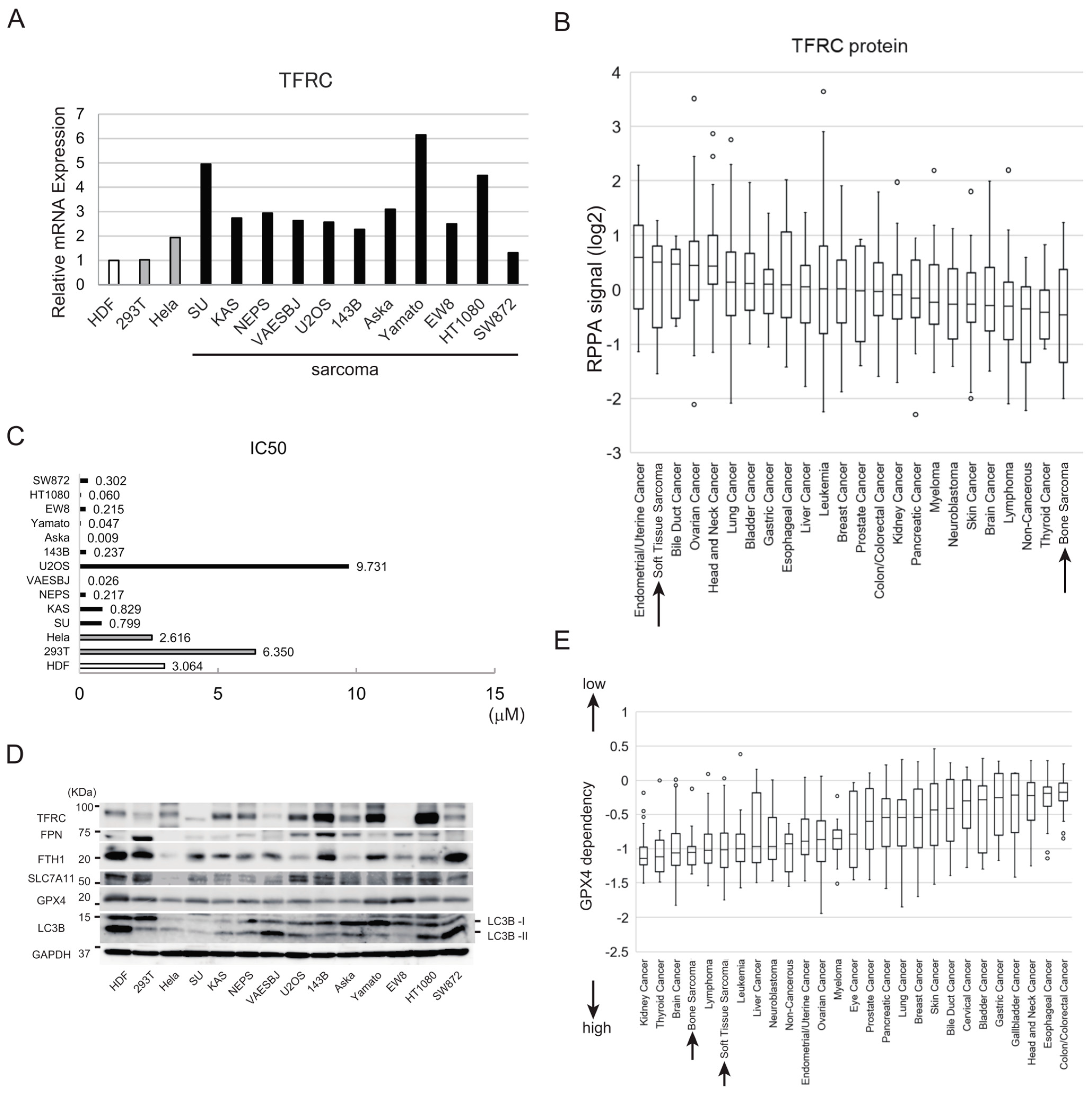 Cancers 15 03484 g001