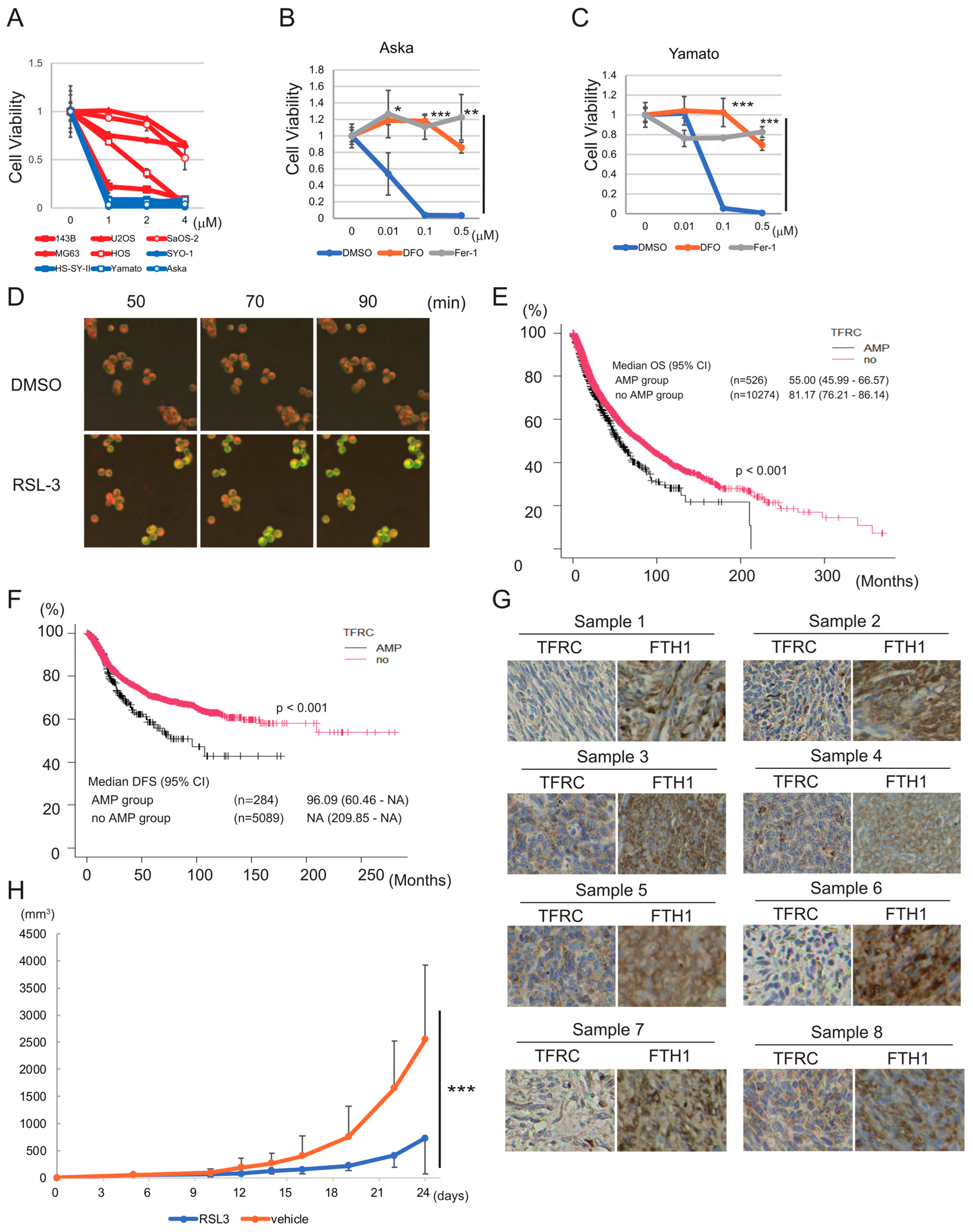 Cancers 15 03484 g002