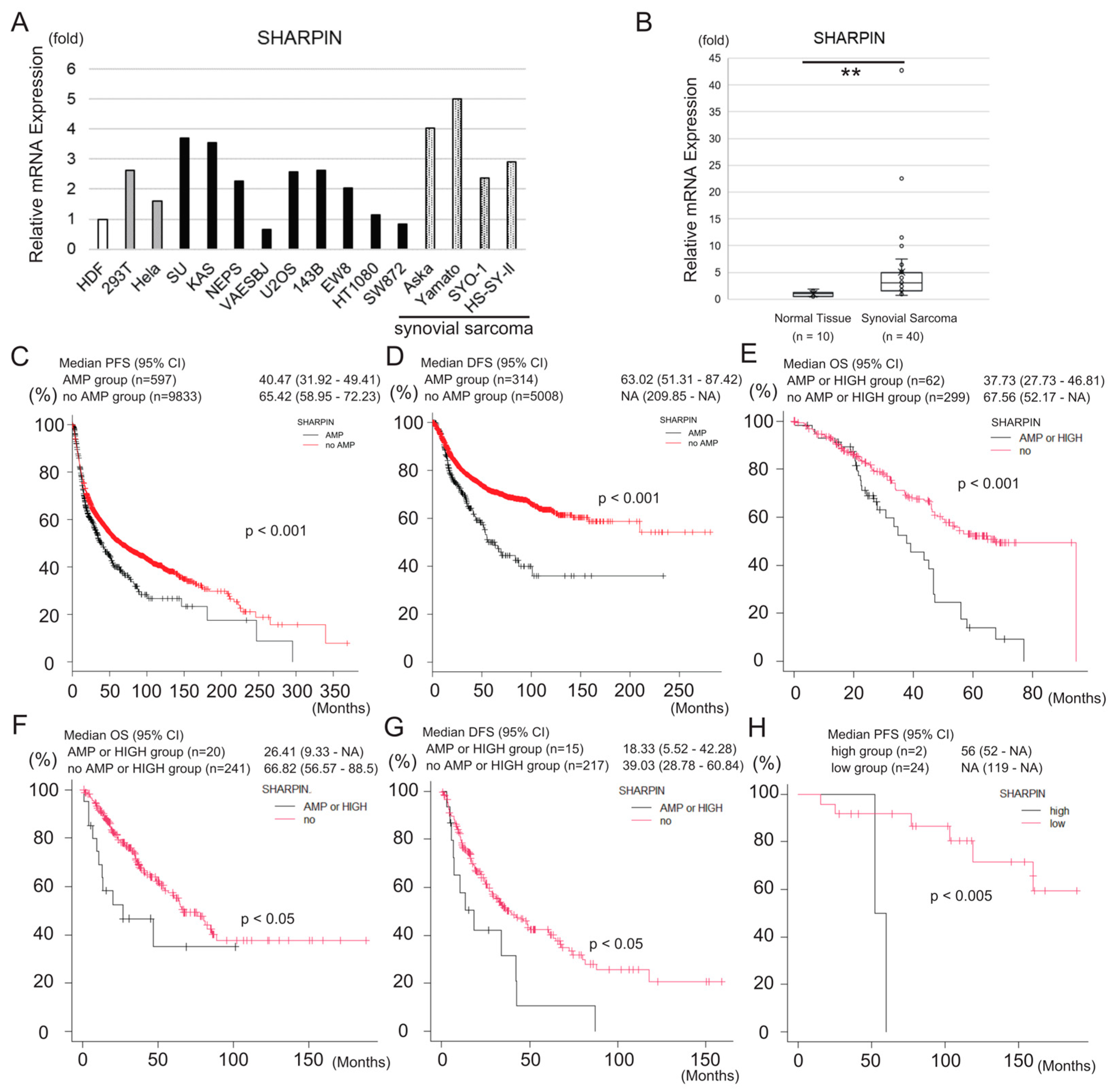 Cancers 15 03484 g003