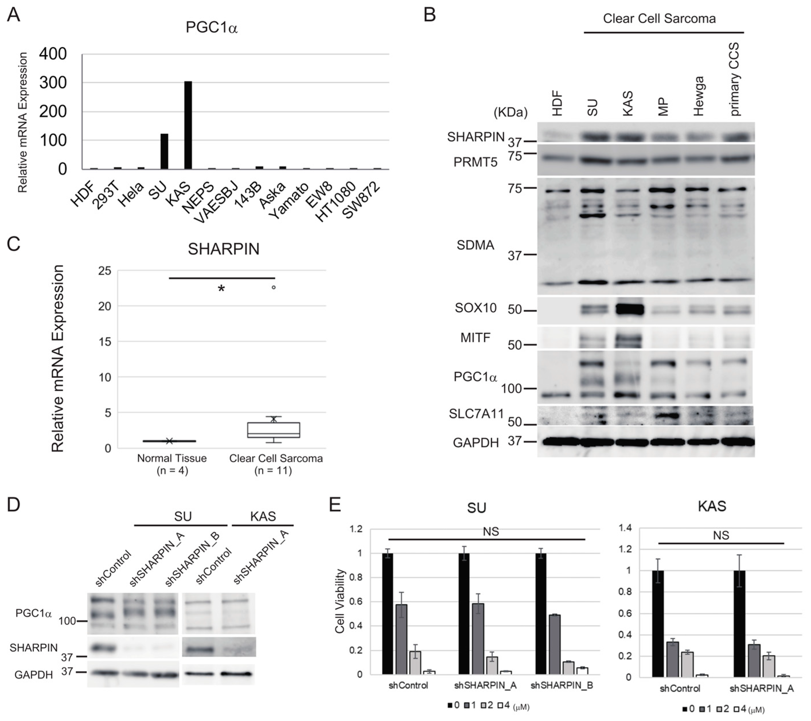 Cancers 15 03484 g005