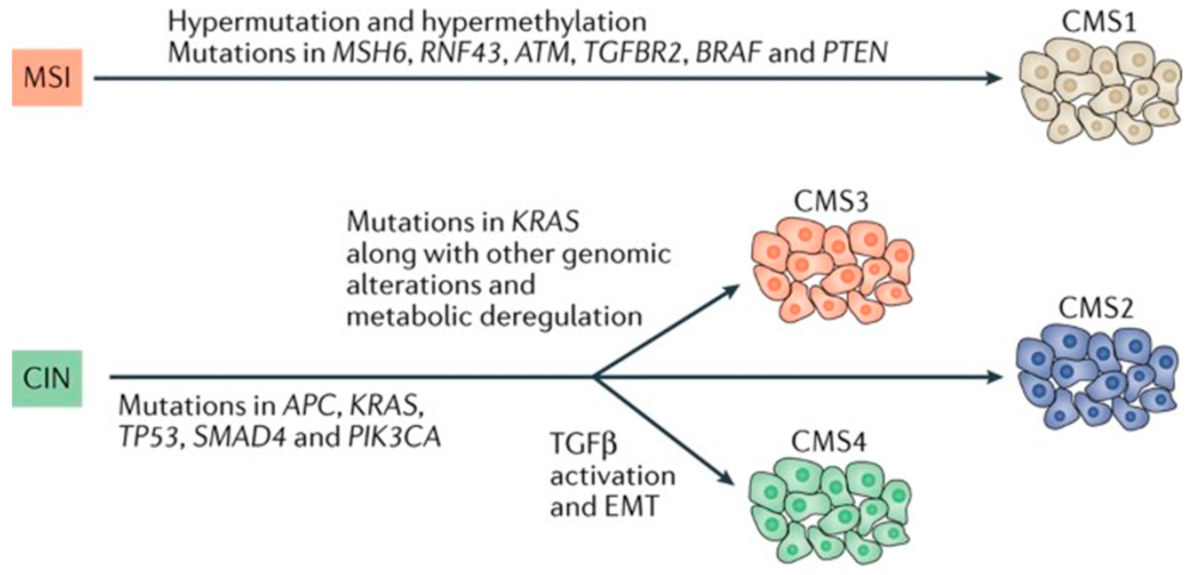 Cancers 15 03513 g001 Cancers 15 03513 g001