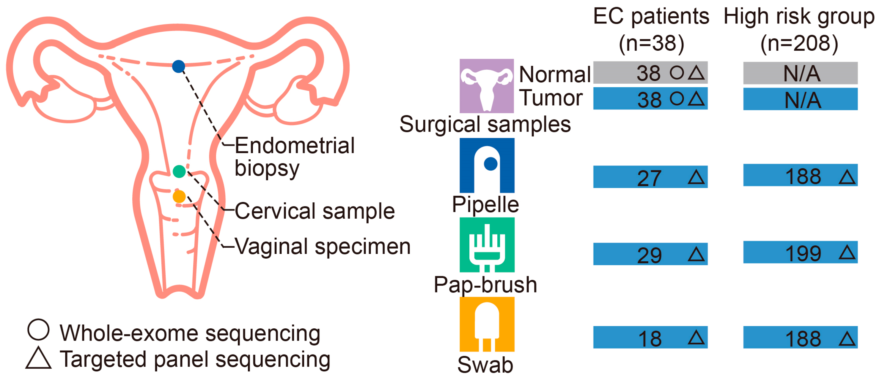 Cancers 15 03522 g001