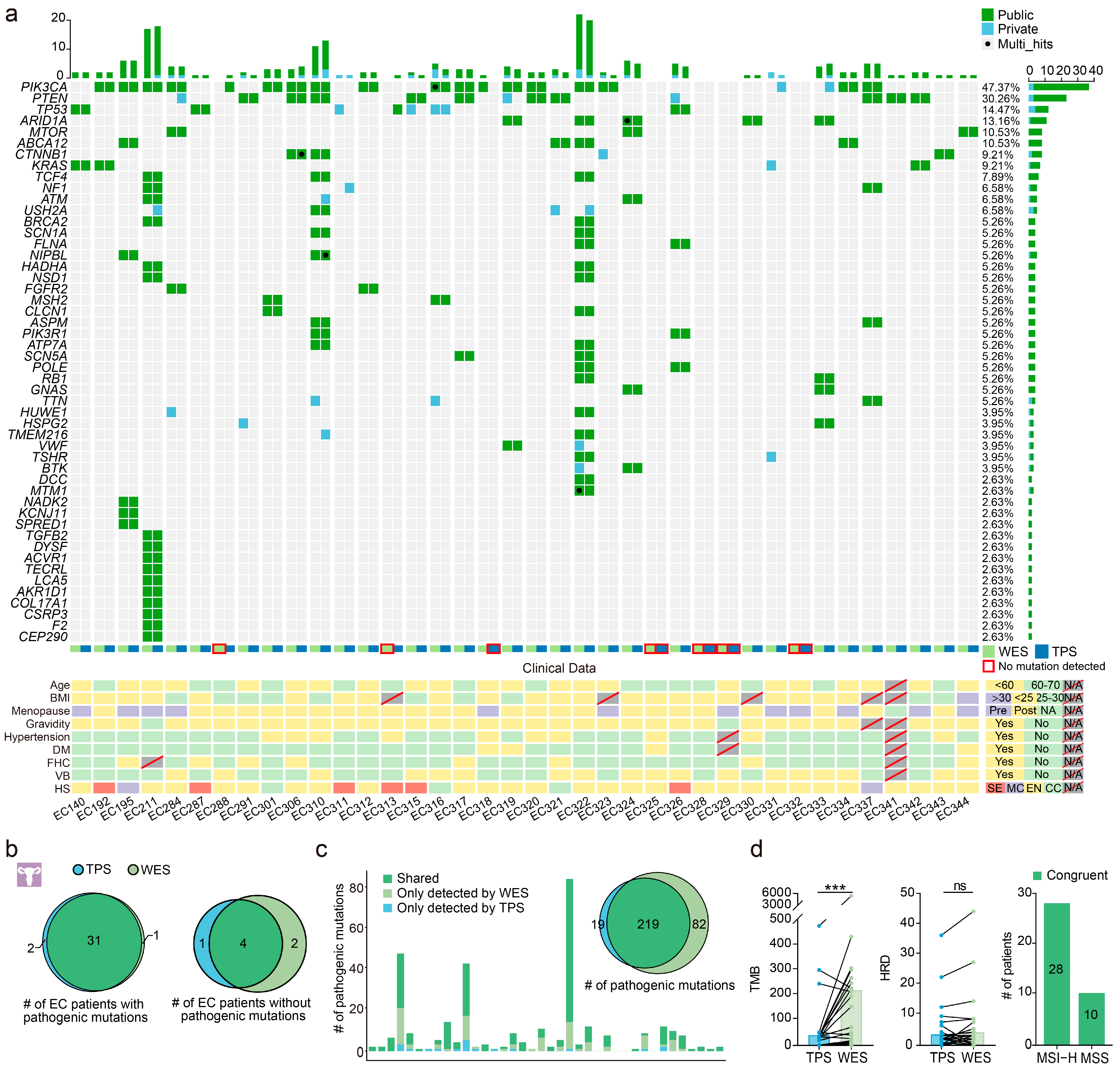 Cancers 15 03522 g002