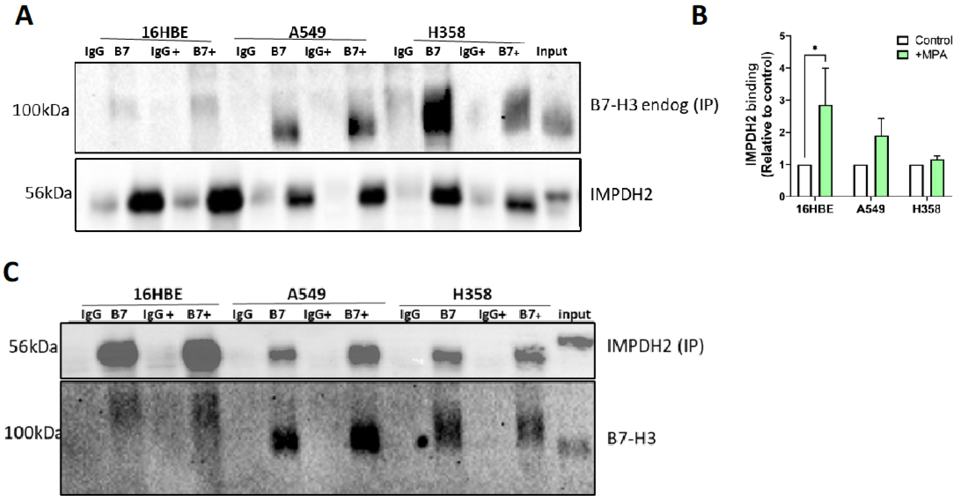 Cancers 15 03530 g003