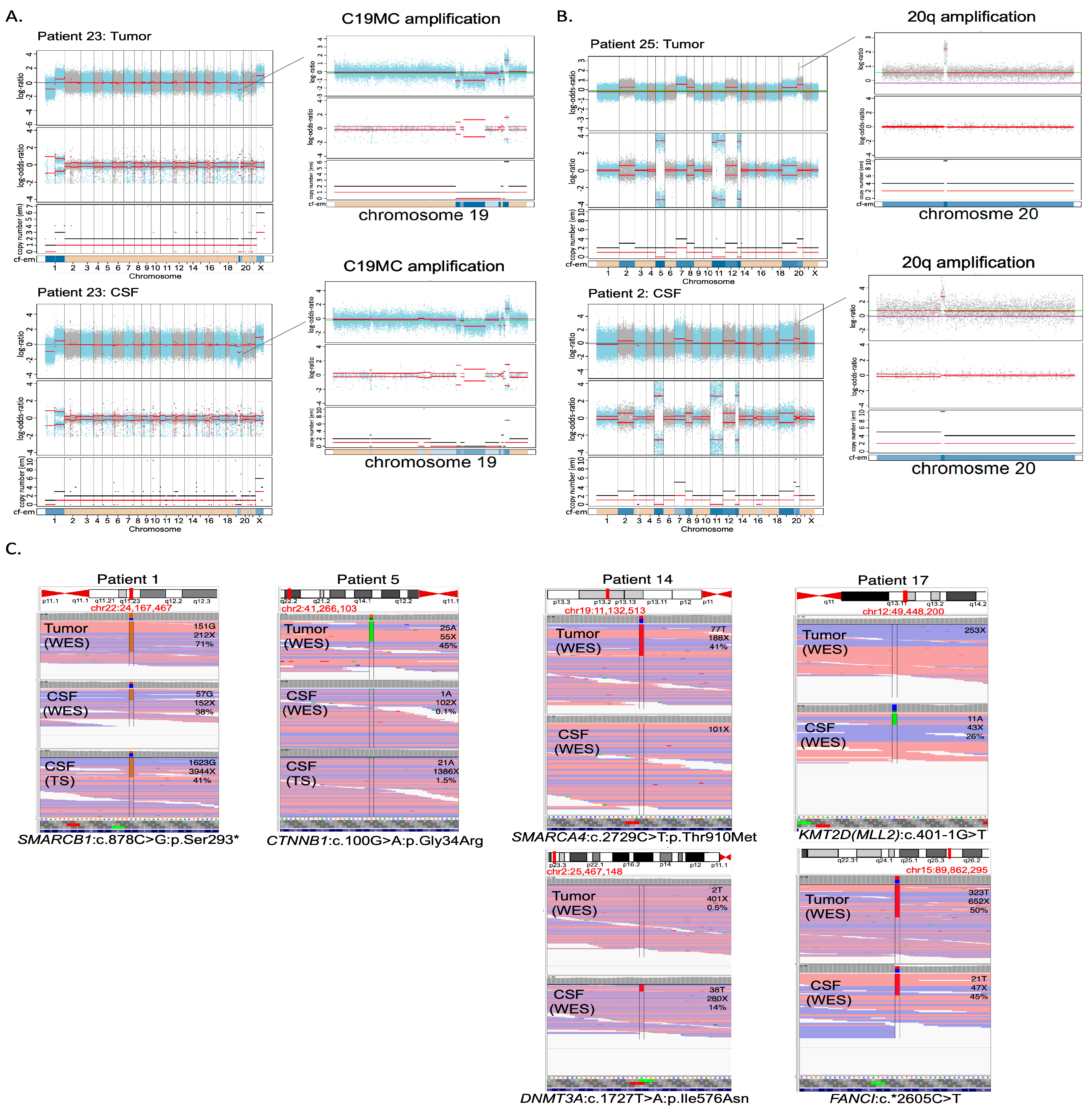 Cancers 15 03532 g001 Cancers 15 03532 g001