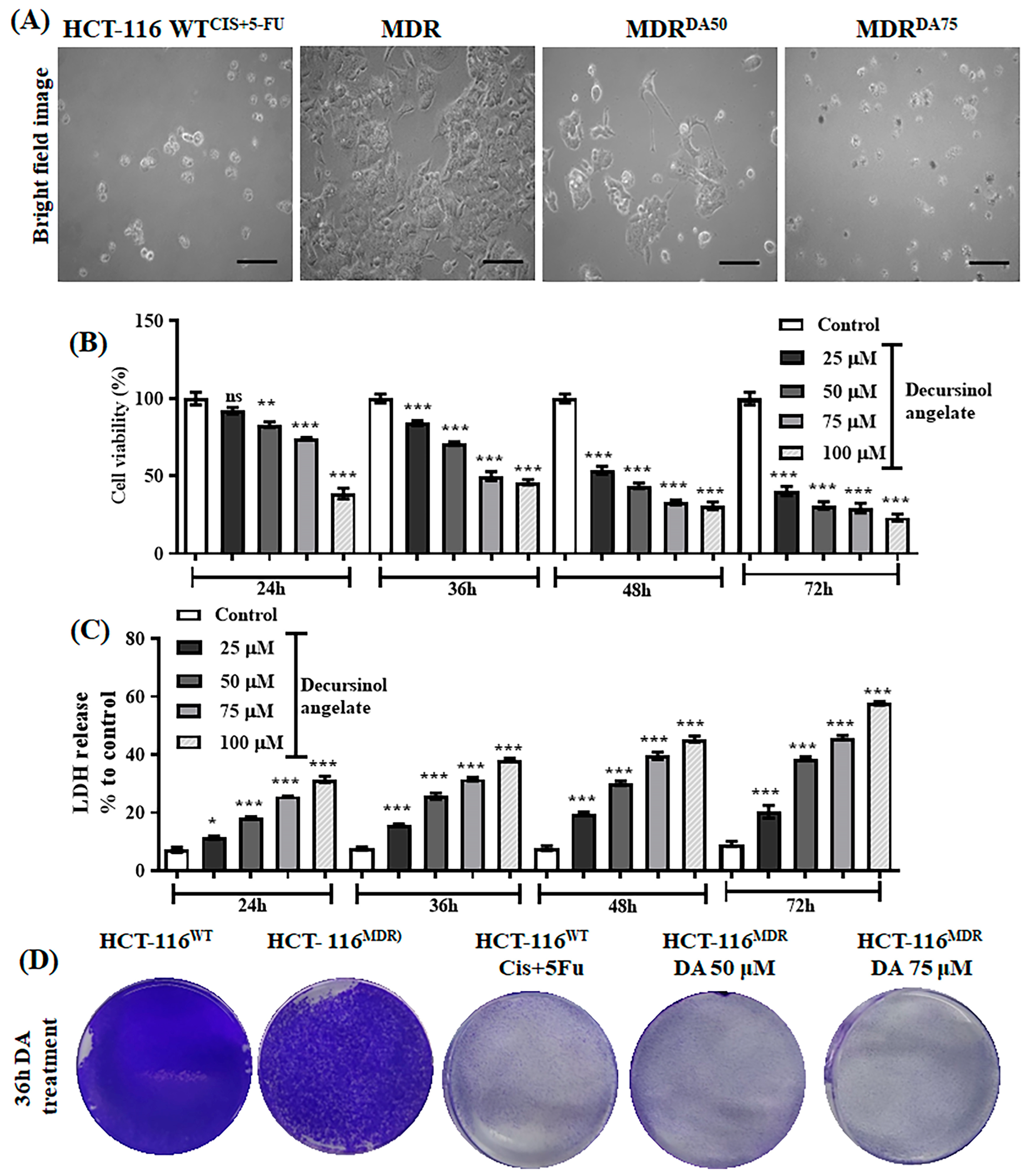 Cancers 15 03541 g003
