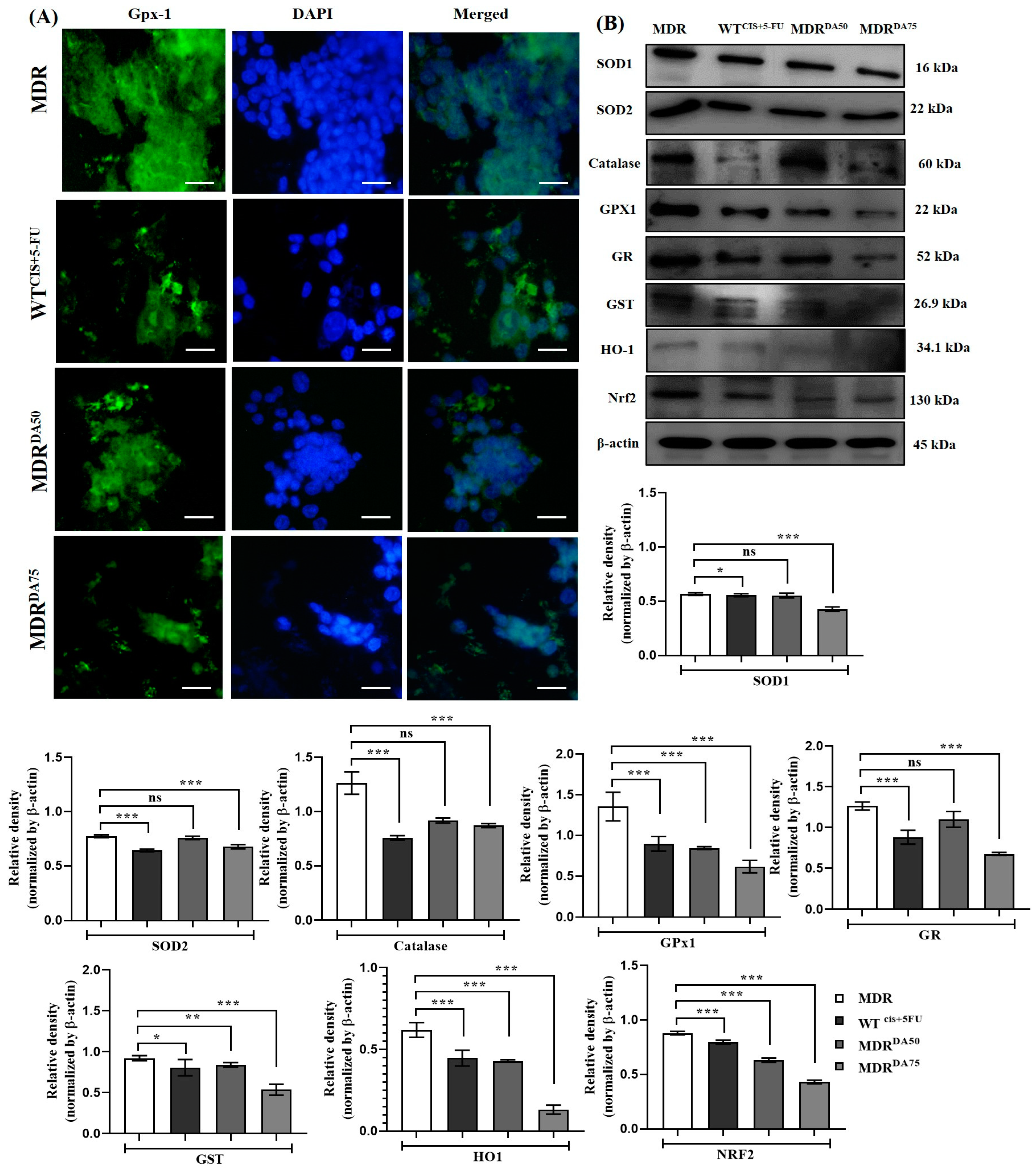 Cancers 15 03541 g006