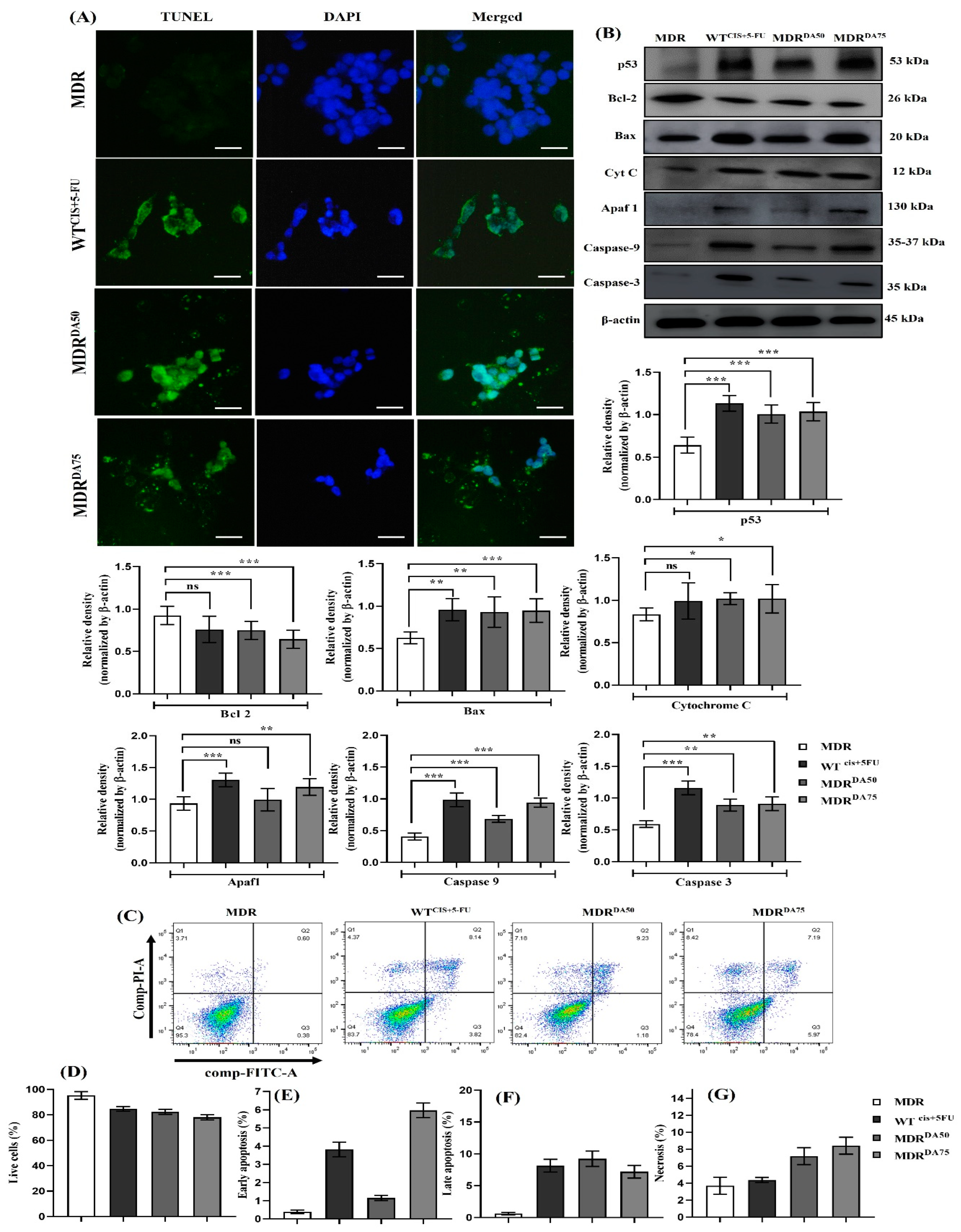 Cancers 15 03541 g007