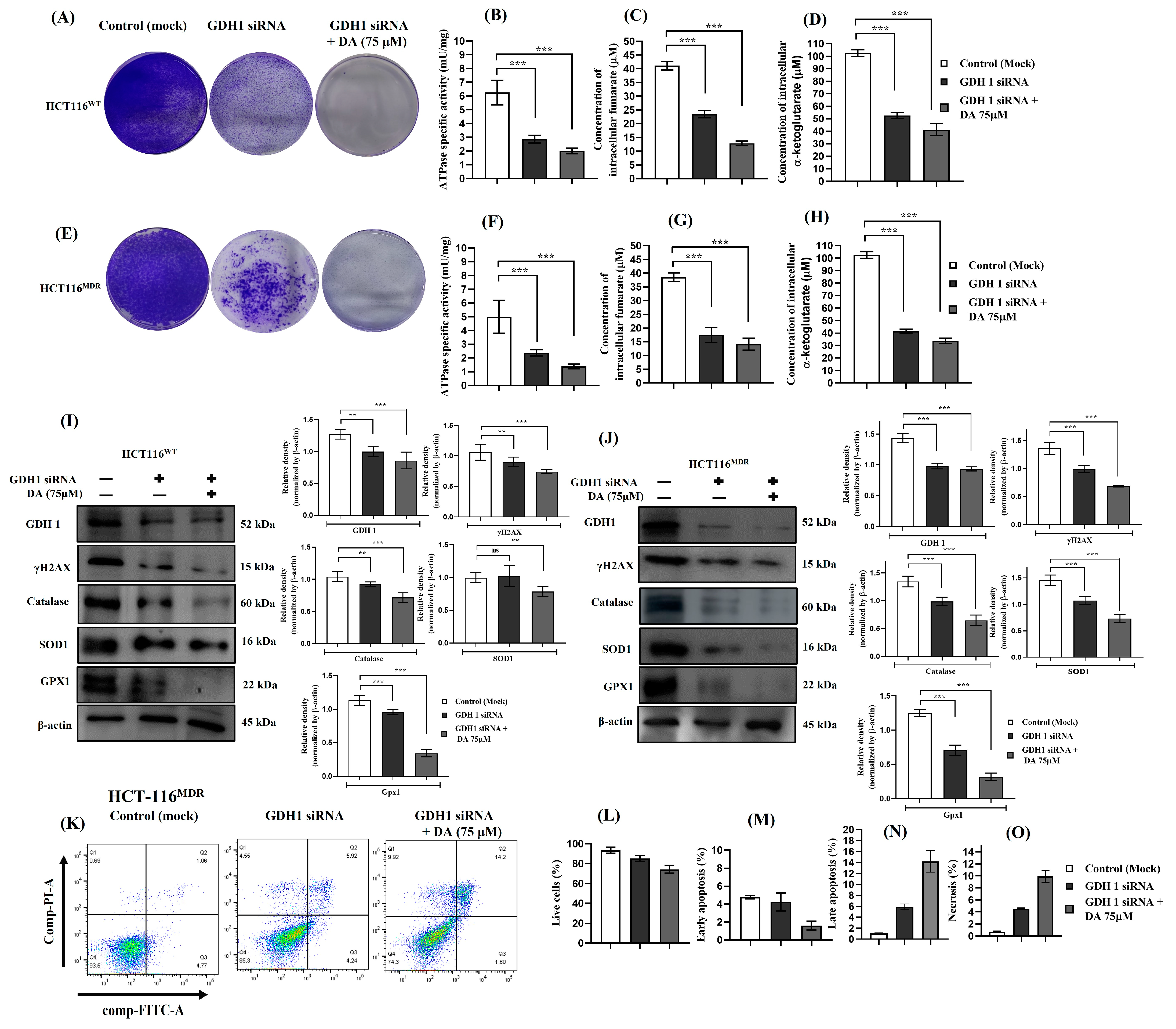 Cancers 15 03541 g008