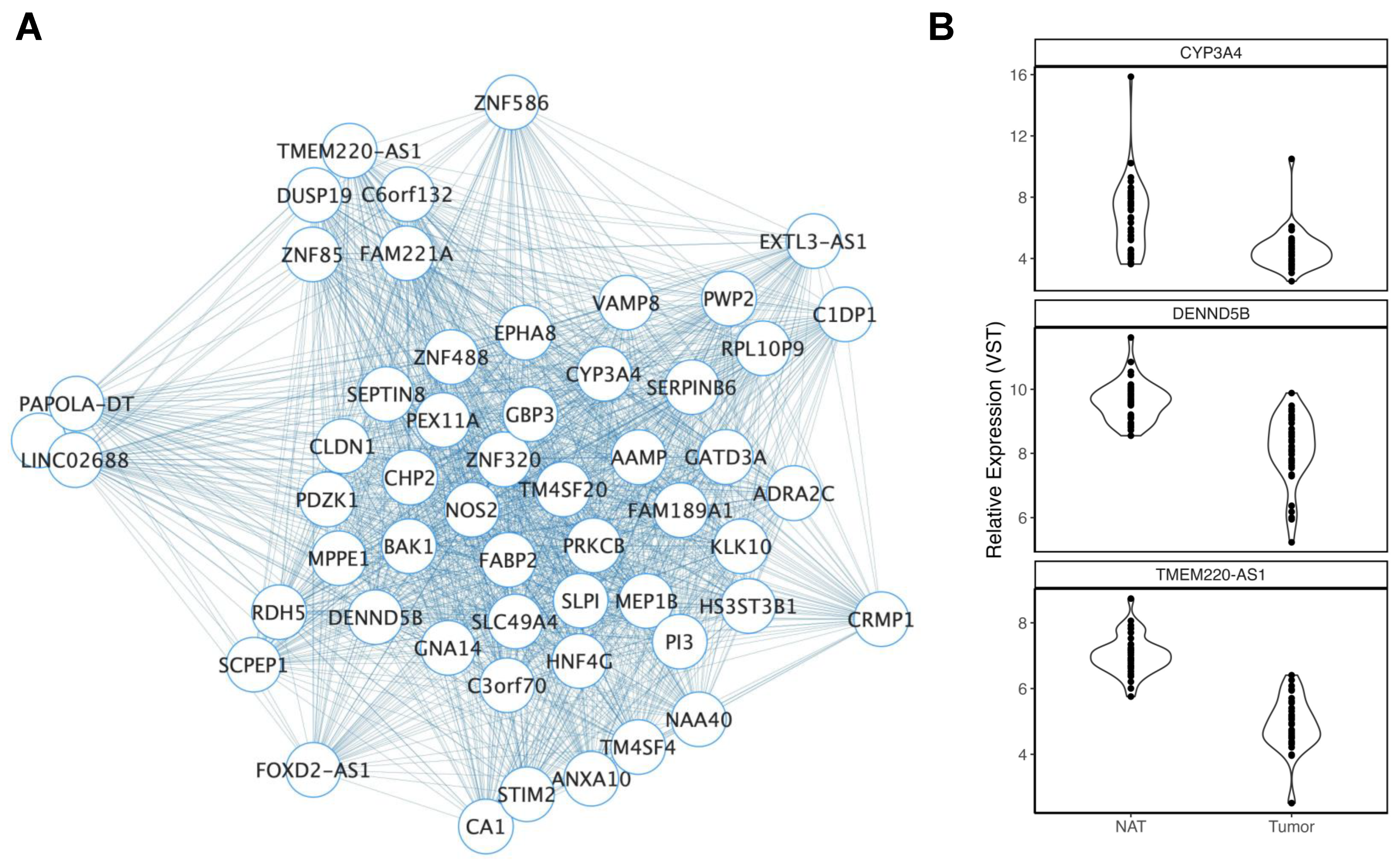 Cancers 15 03550 g001