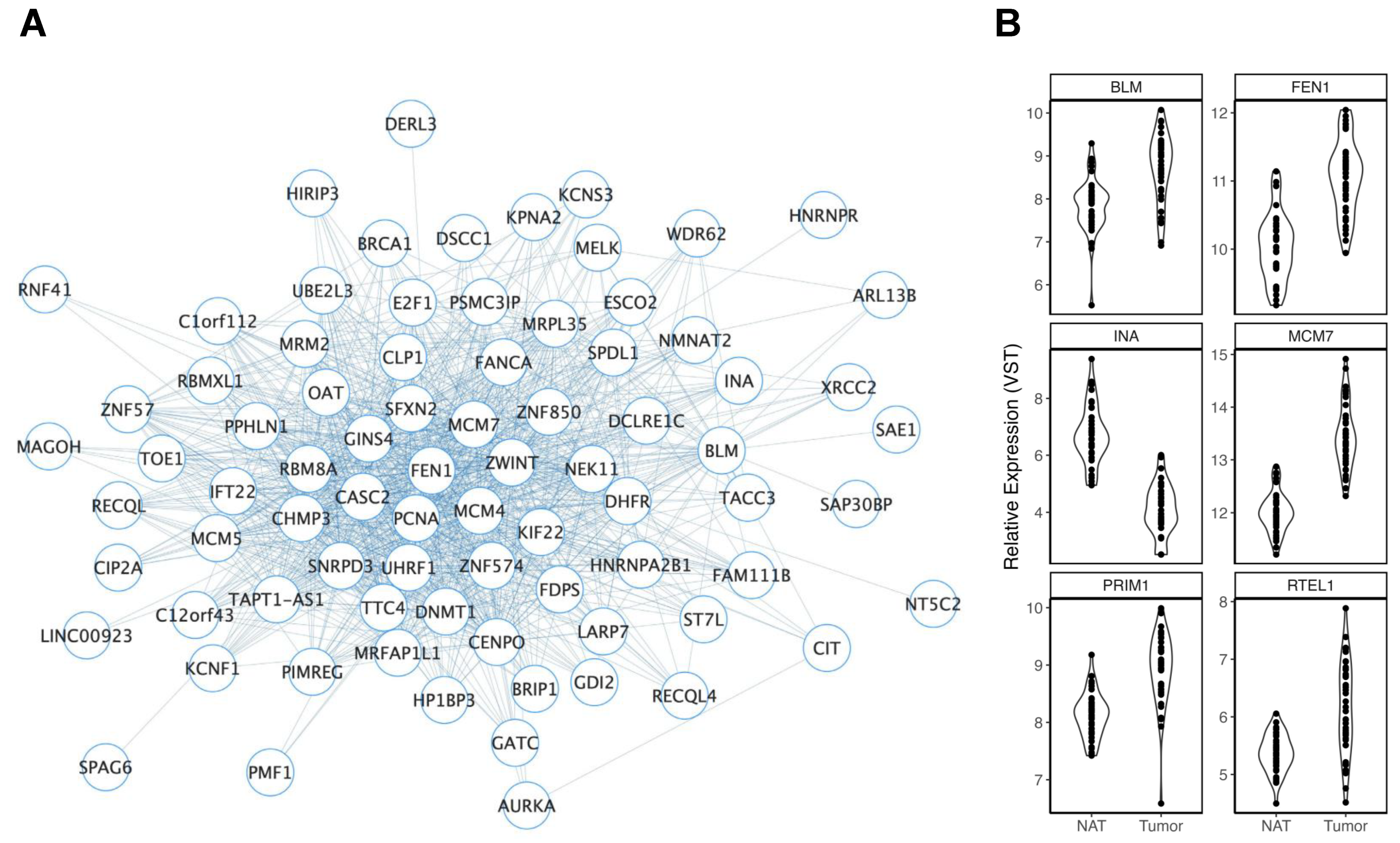 Cancers 15 03550 g002