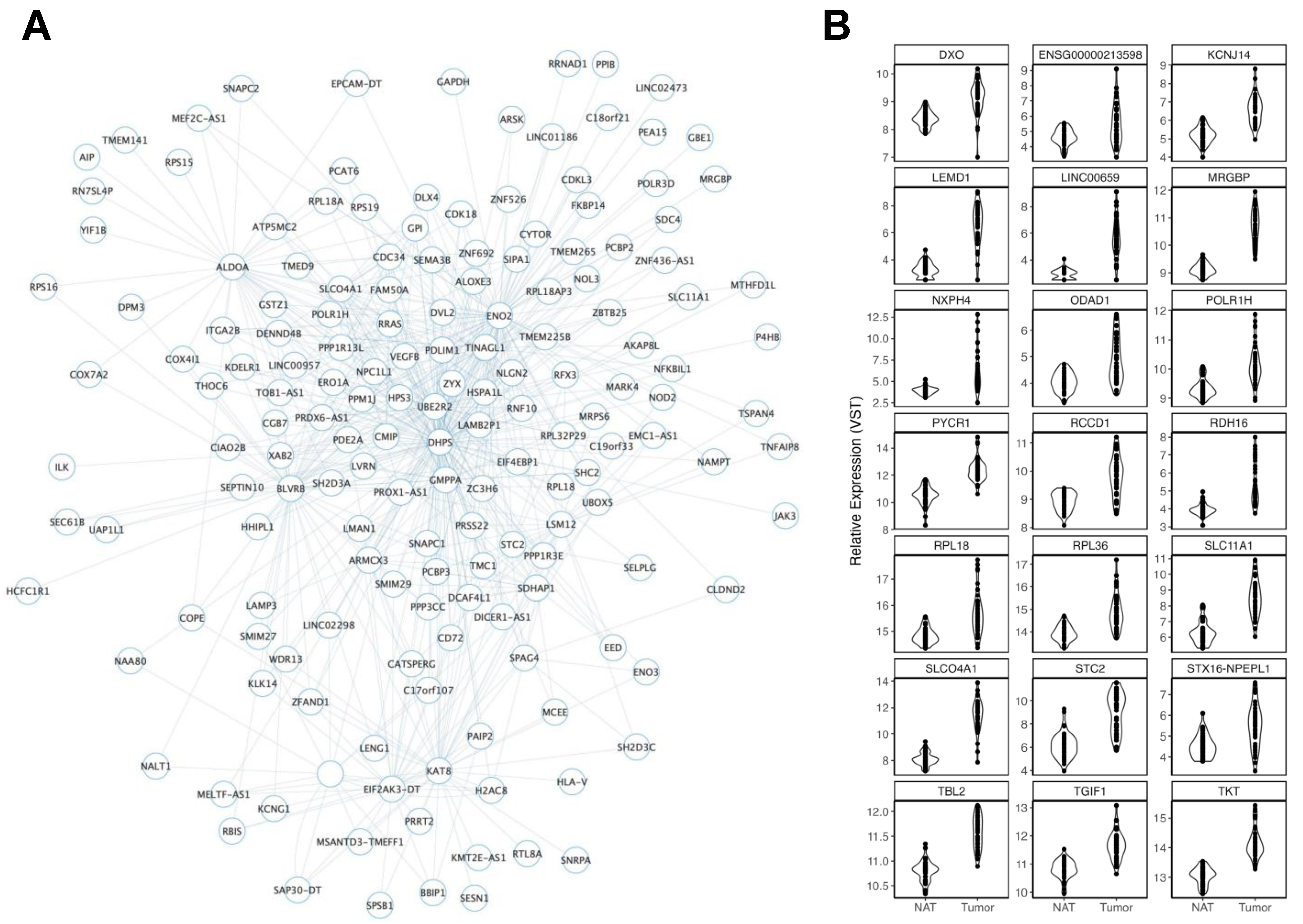 Cancers 15 03550 g003
